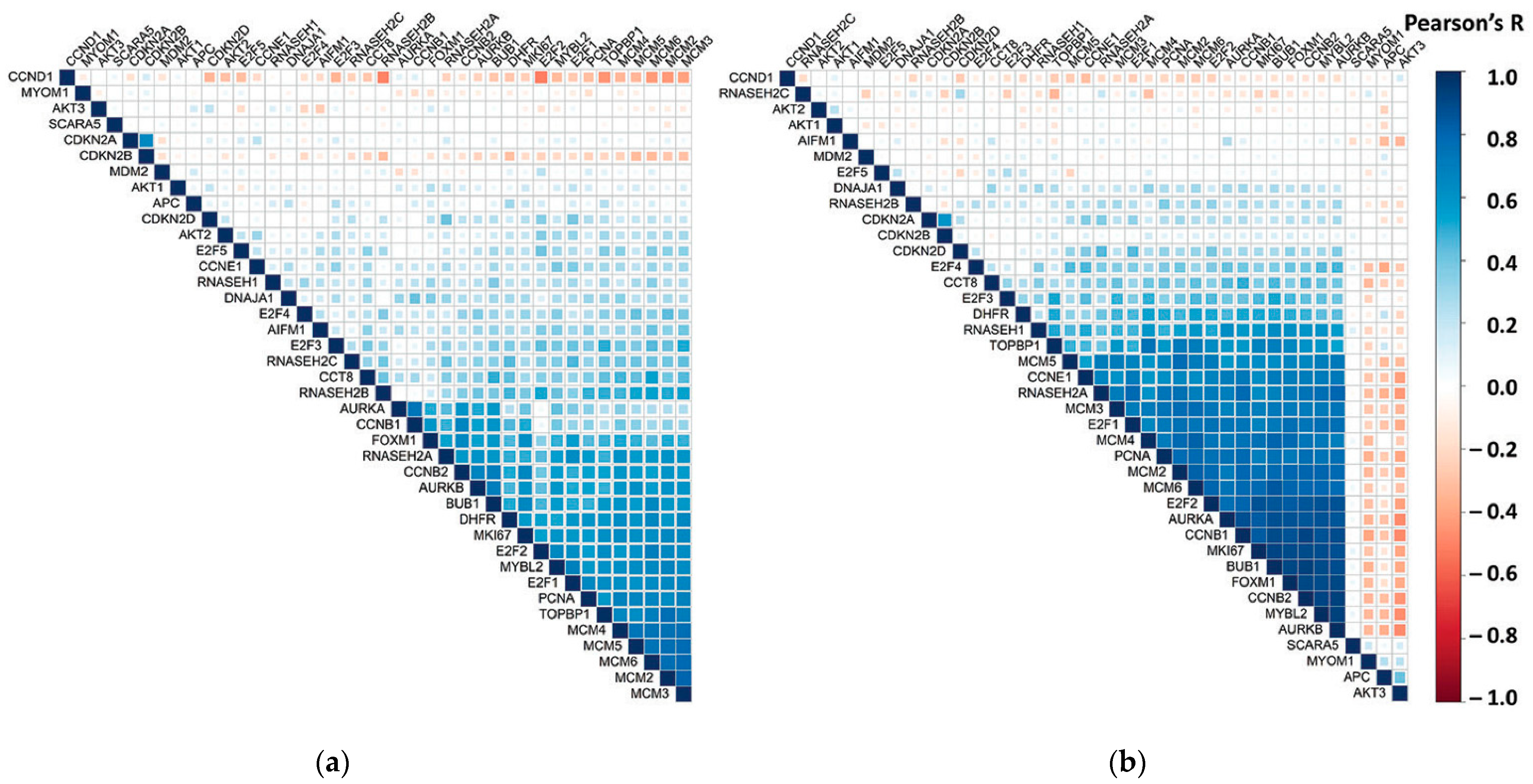 Biology 10 00221 g005 Biology 10 00221 g005