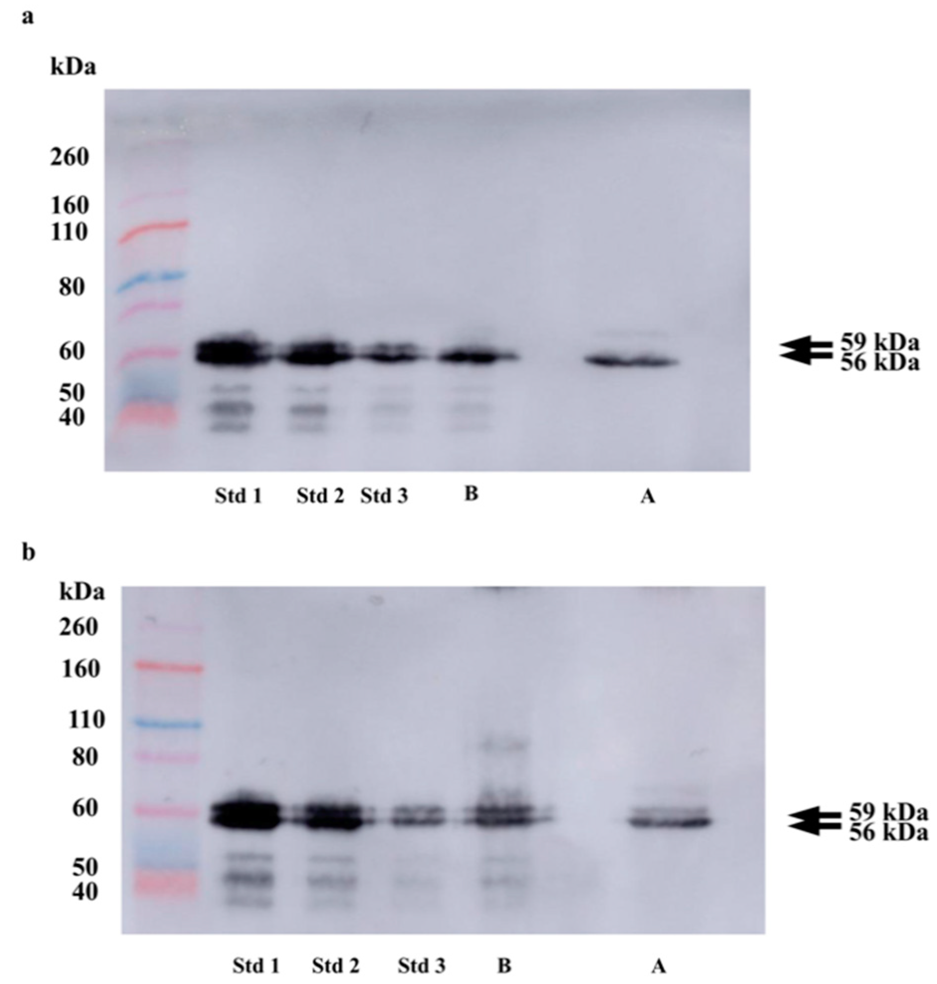 Biology 10 00227 g001 Biology 10 00227 g001