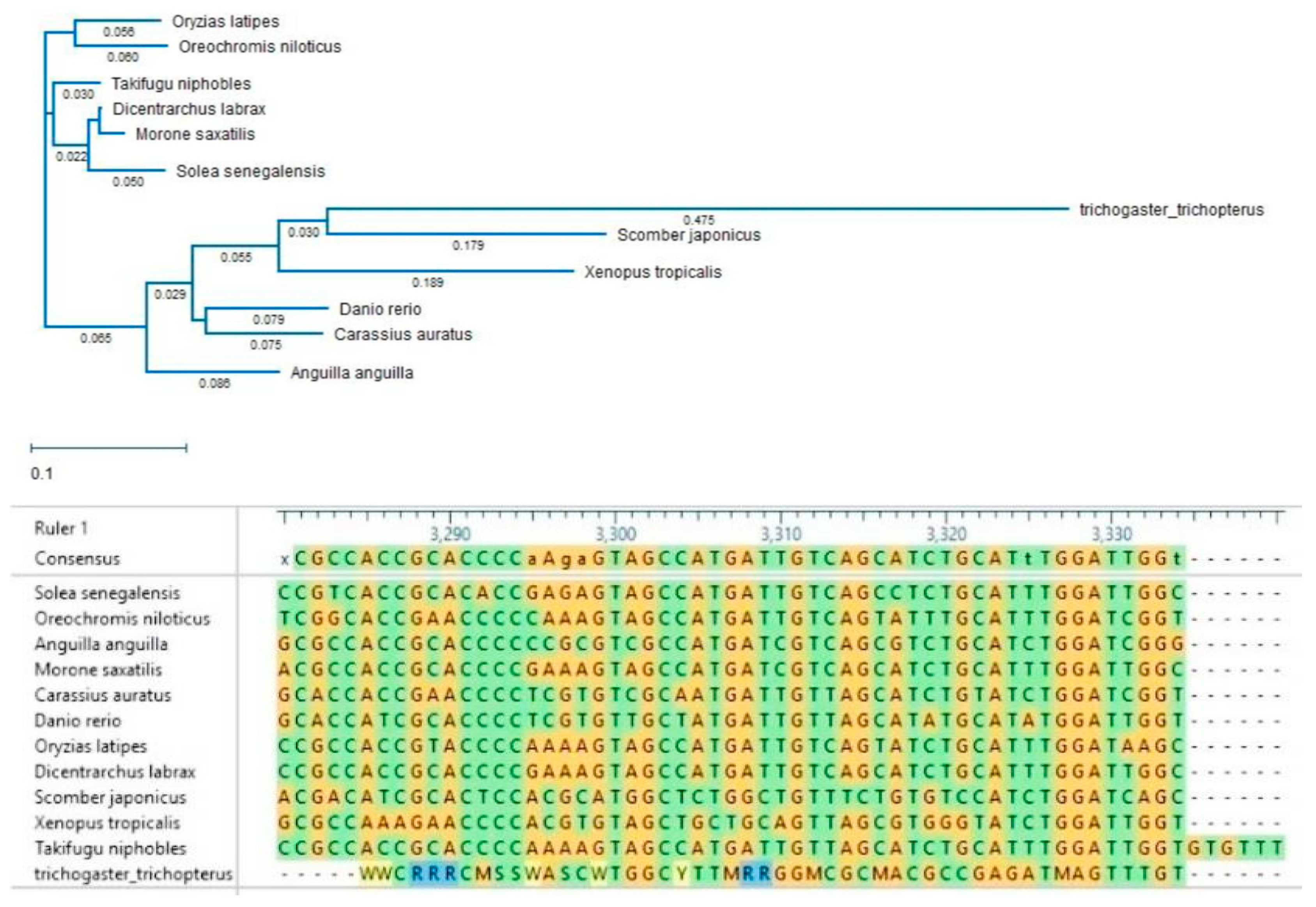 Biology 10 00228 g012