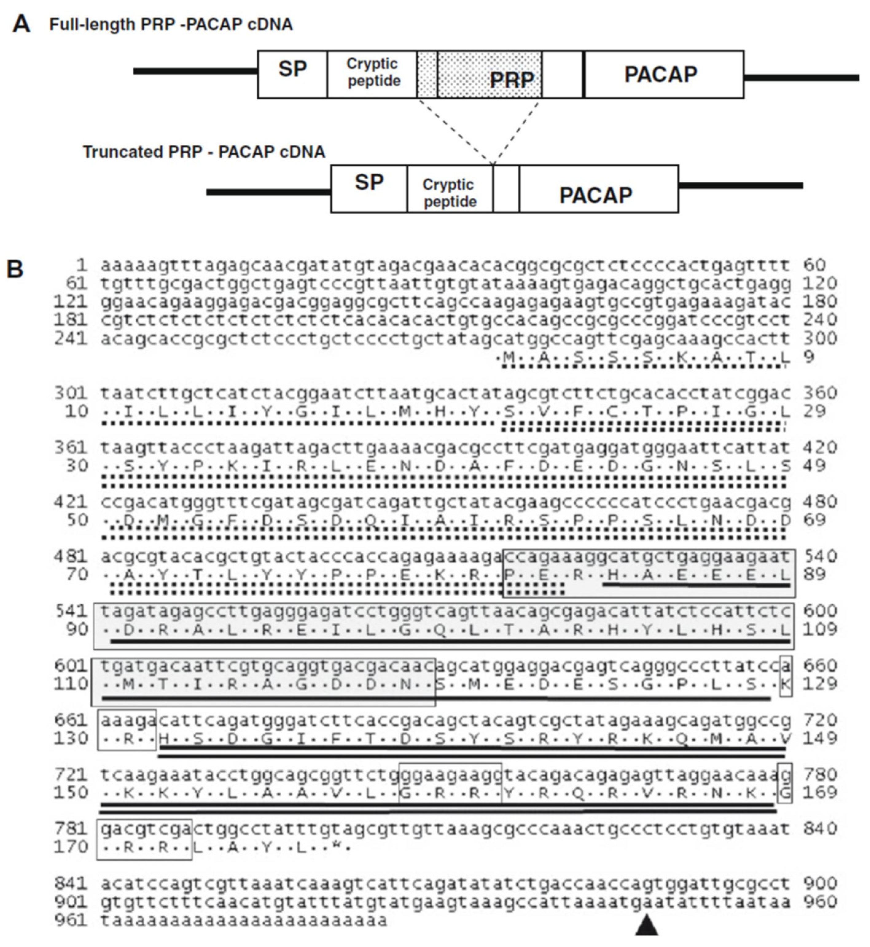 Biology Free Full Text Markers Of Genetic Variation In Blue Gourami Trichogaster Trichopterus As A Model For Labyrinth Fish