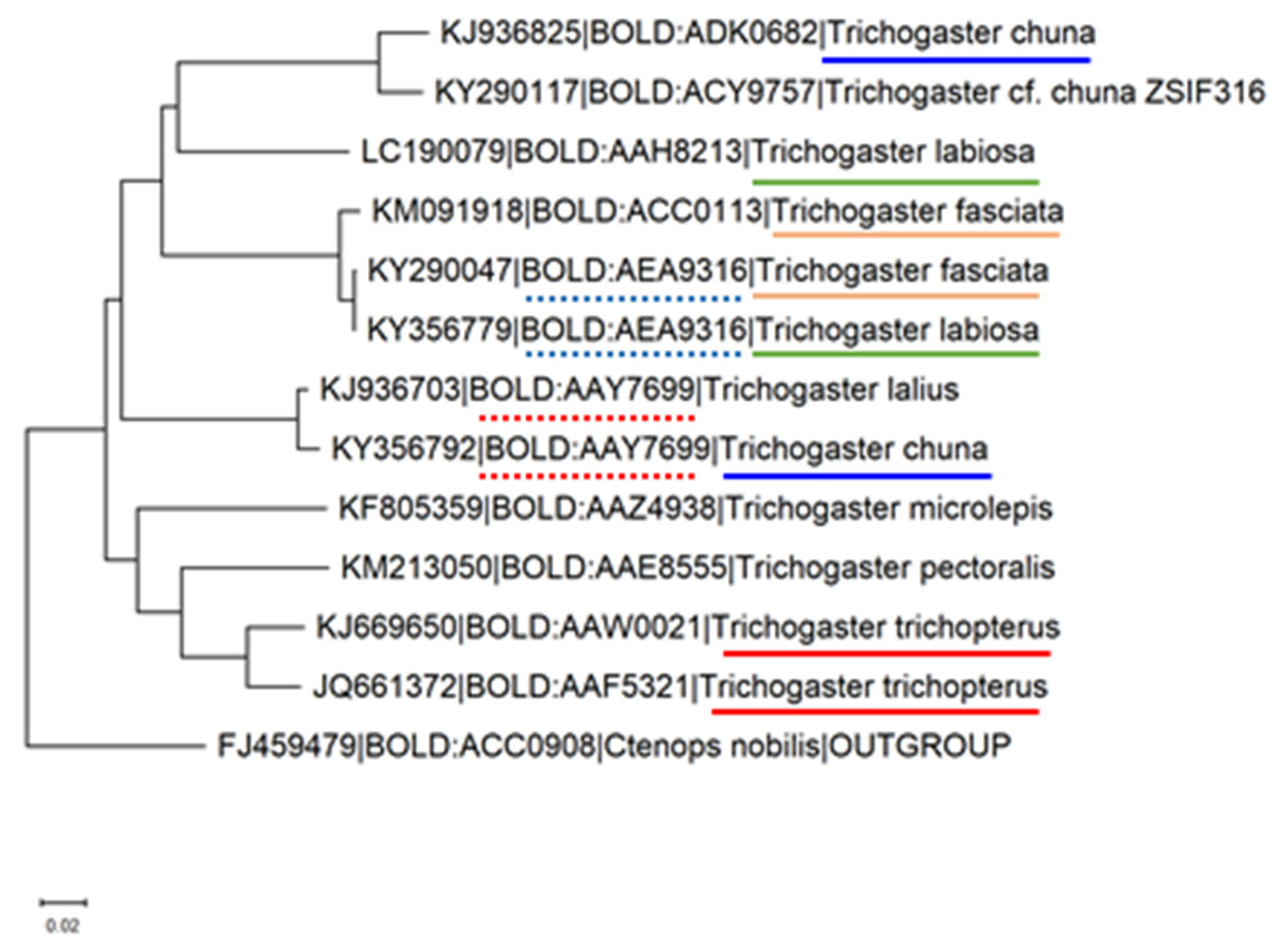 Biology 10 00228 g024