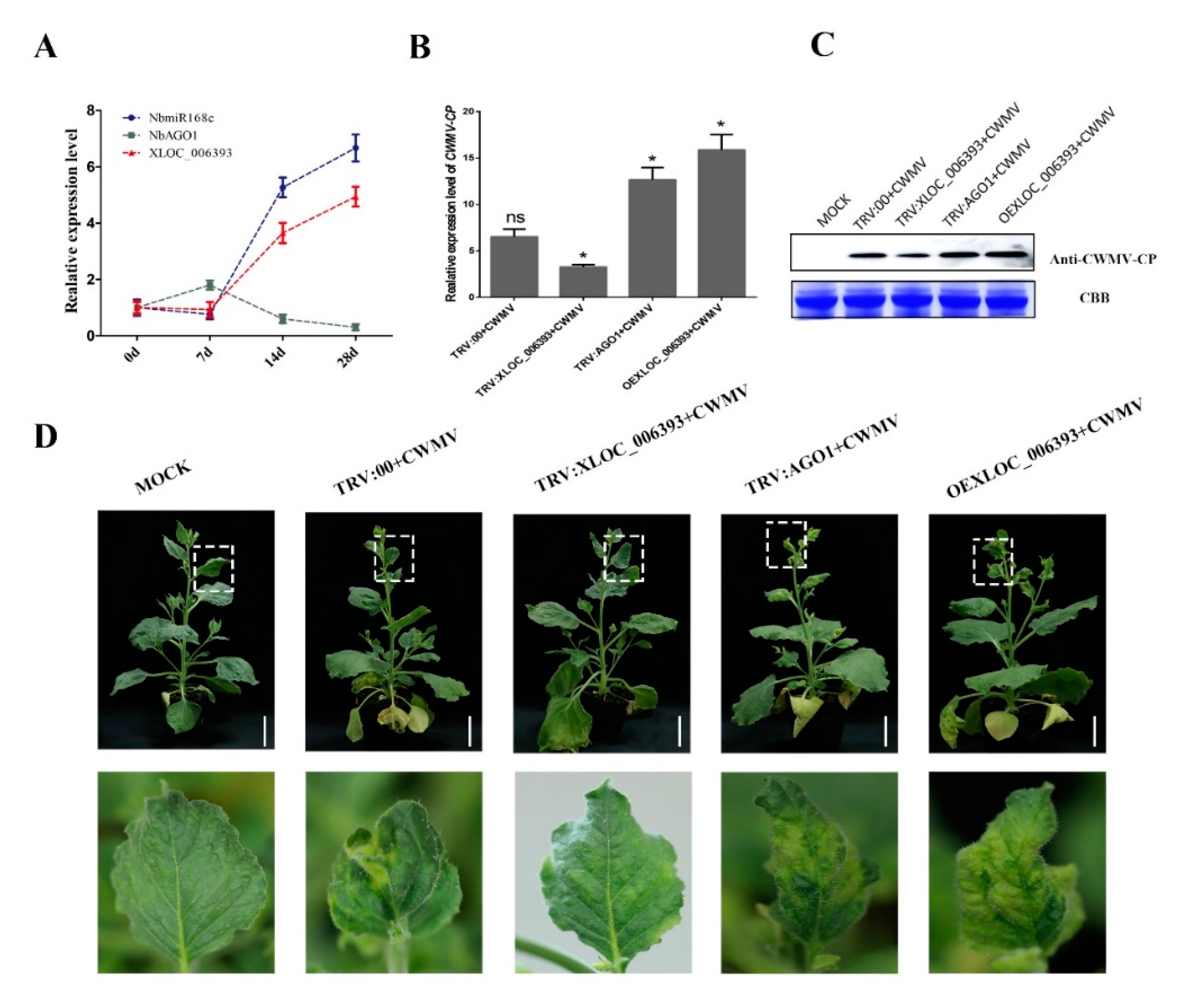 Biology 10 00232 g005