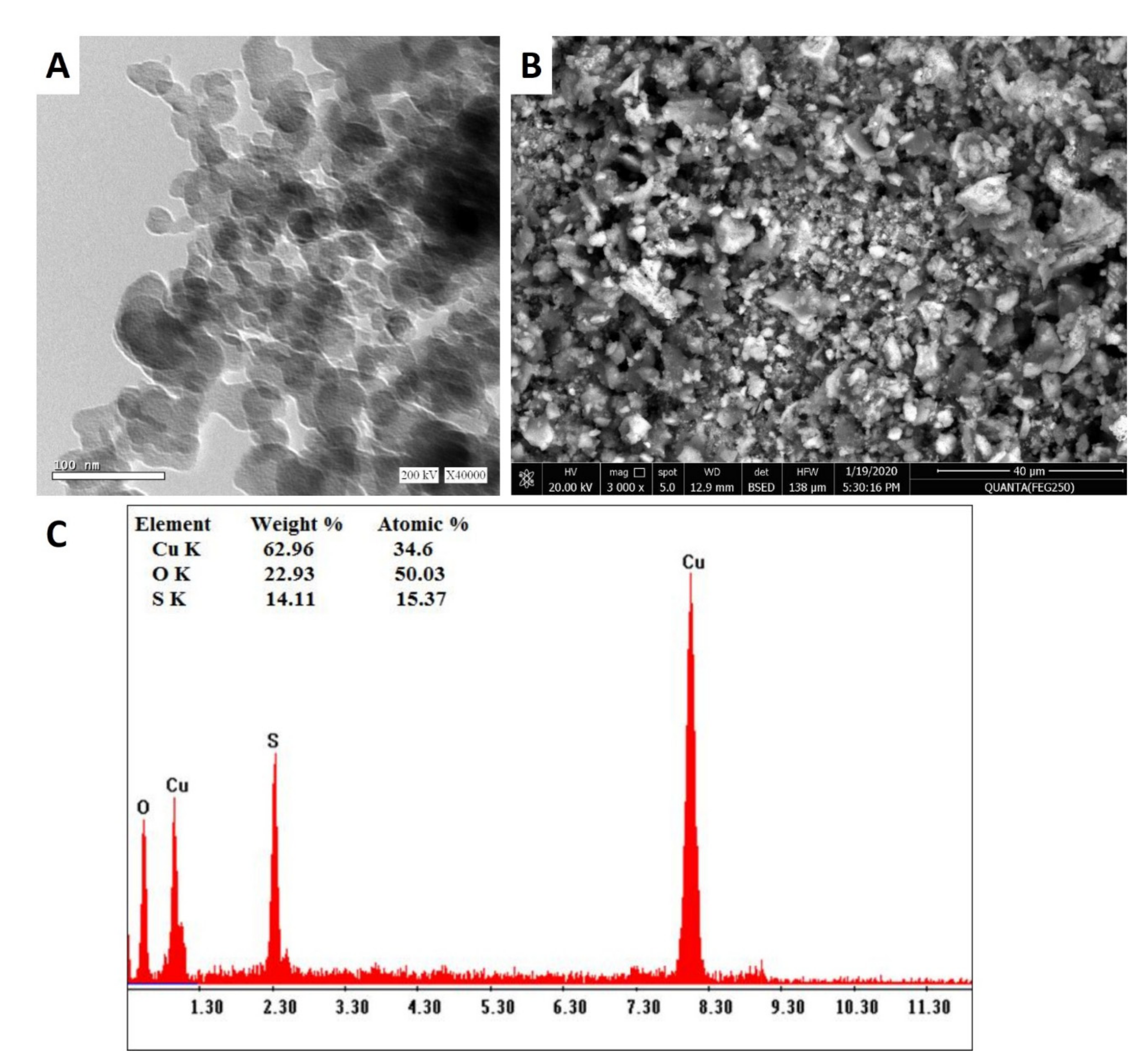 Biology 10 00233 g002 Biology 10 00233 g002