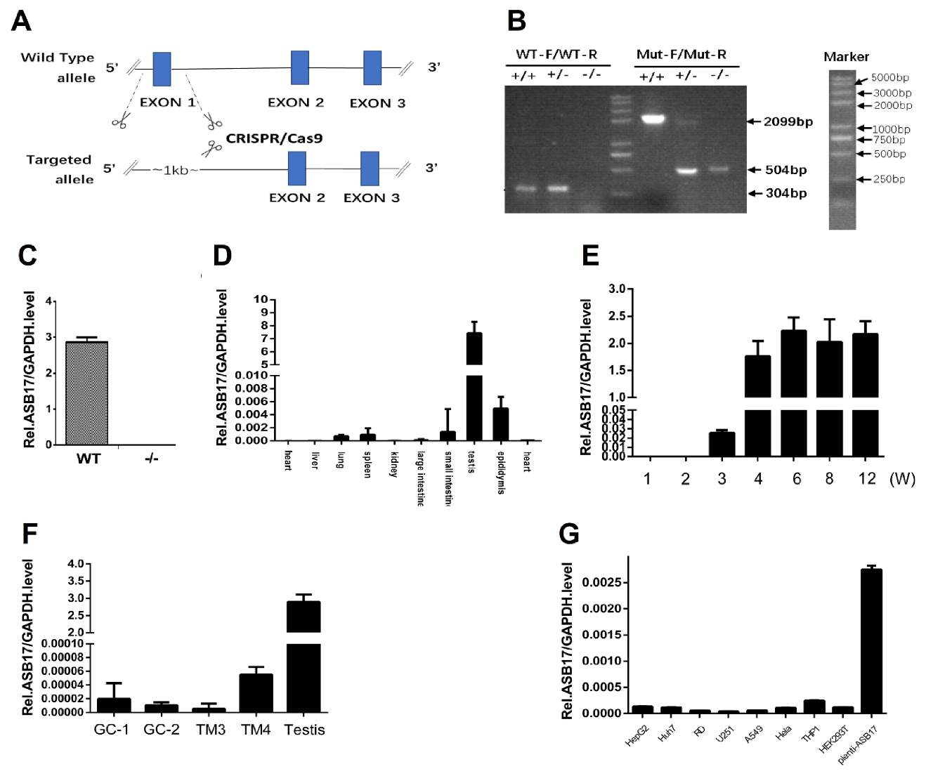 Biology 10 00234 g001 Biology 10 00234 g001
