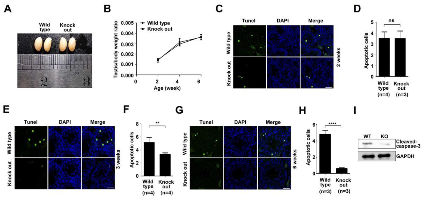 Biology 10 00234 g002 Biology 10 00234 g002