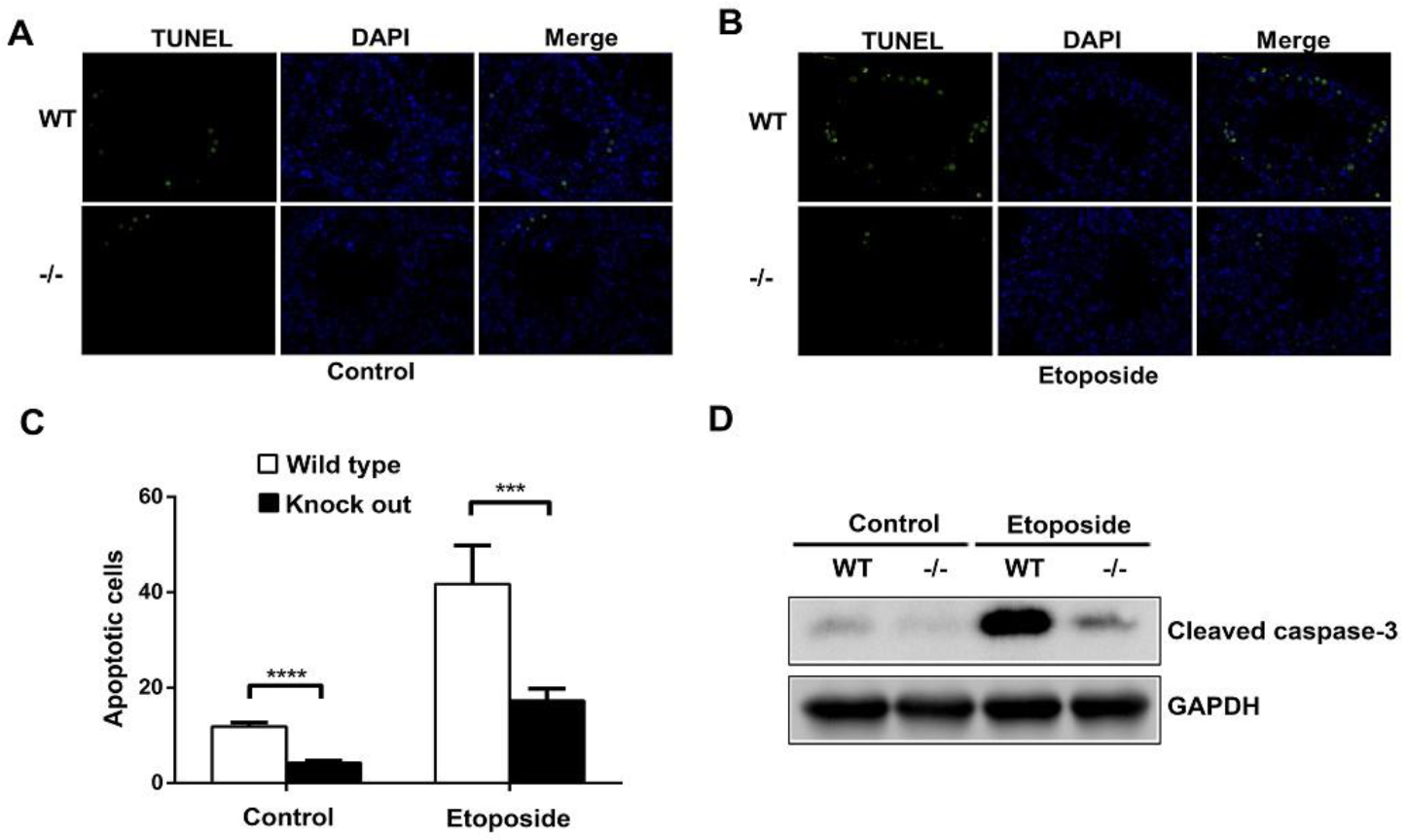 Biology 10 00234 g004 Biology 10 00234 g004