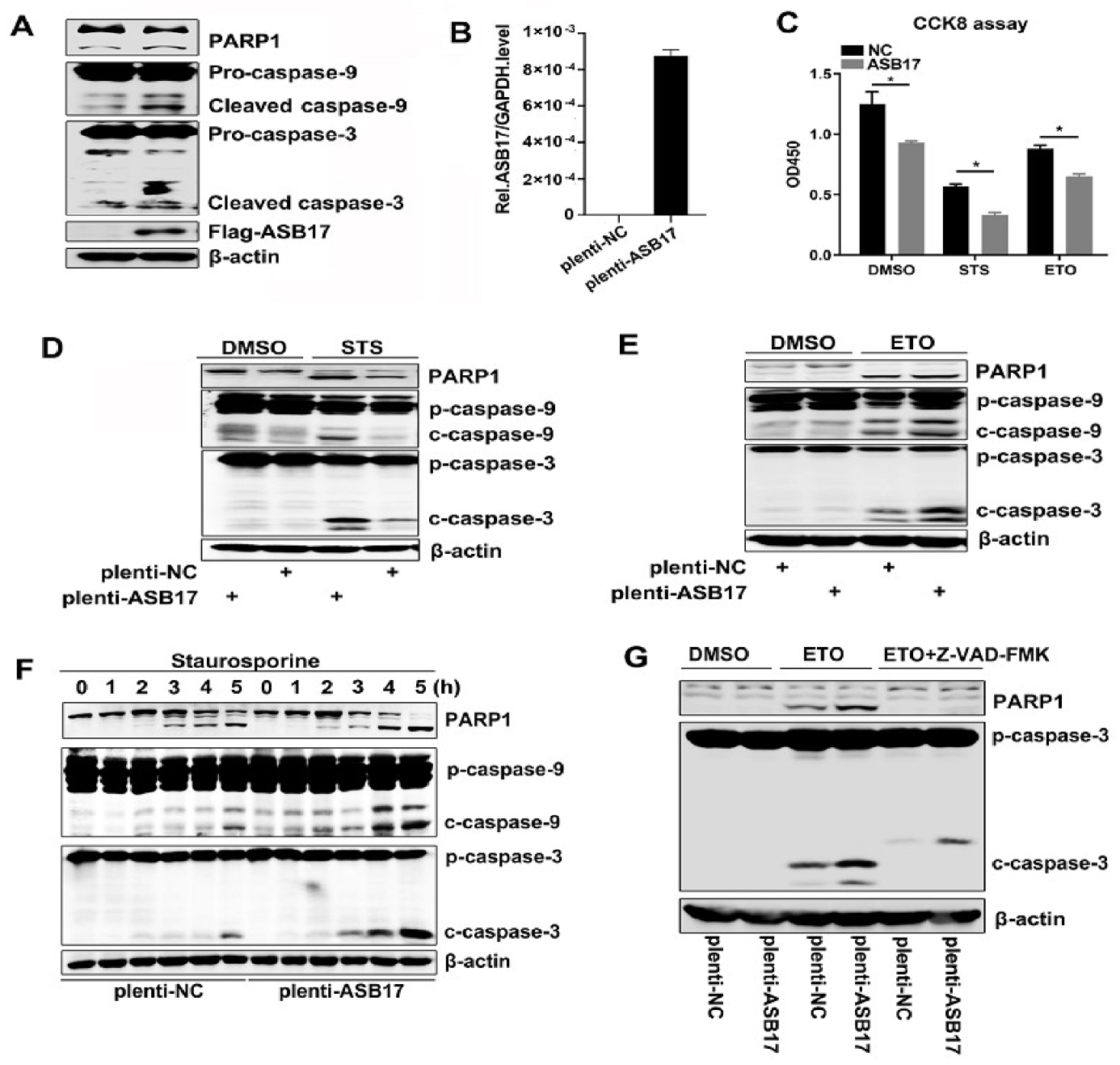 Biology 10 00234 g005 Biology 10 00234 g005