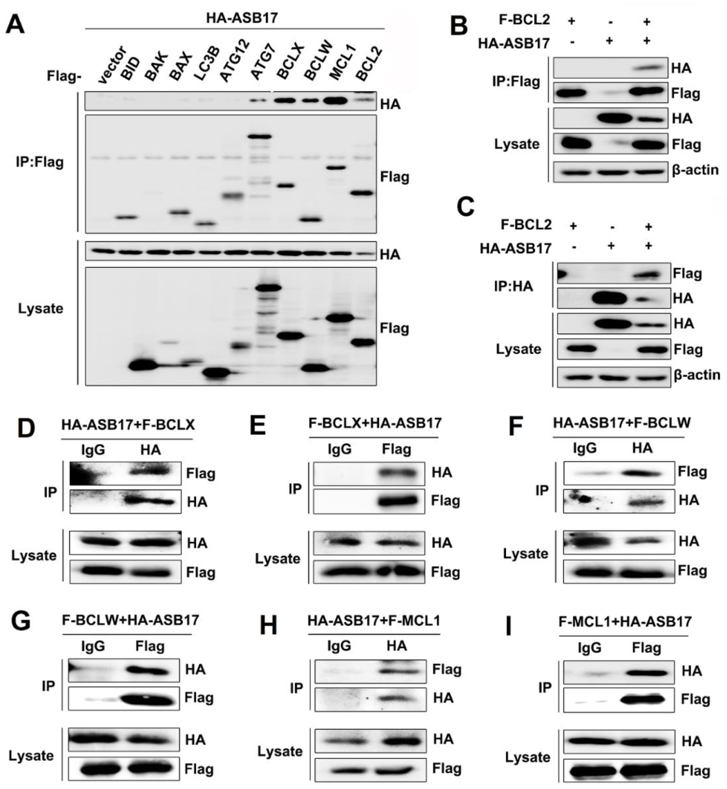 Biology 10 00234 g006 Biology 10 00234 g006