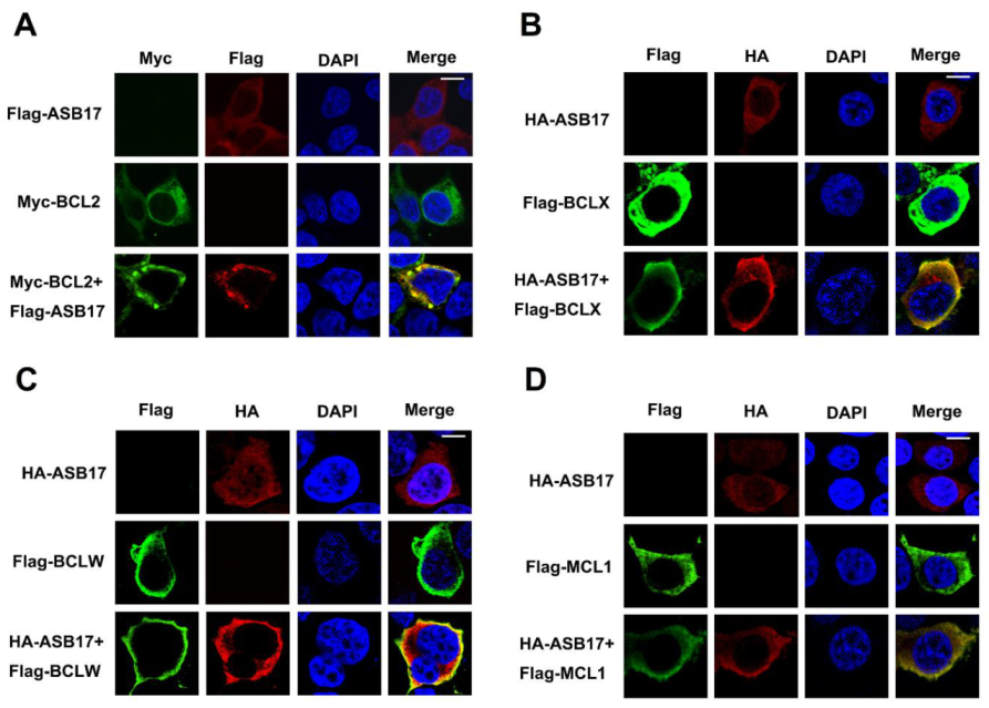 Biology 10 00234 g007 Biology 10 00234 g007