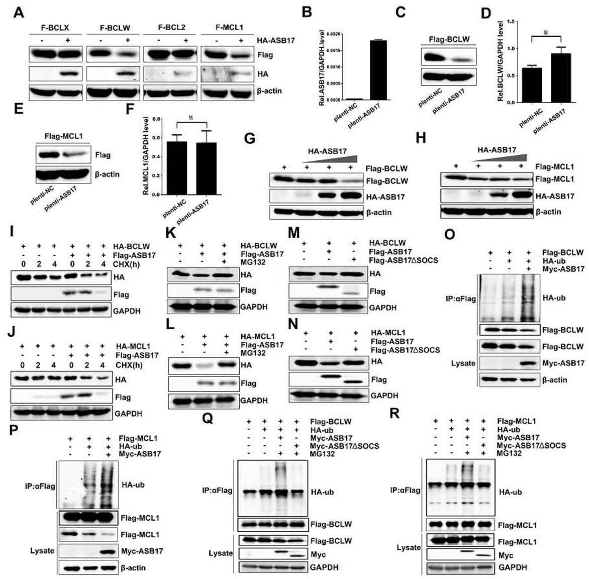 Biology 10 00234 g008 Biology 10 00234 g008