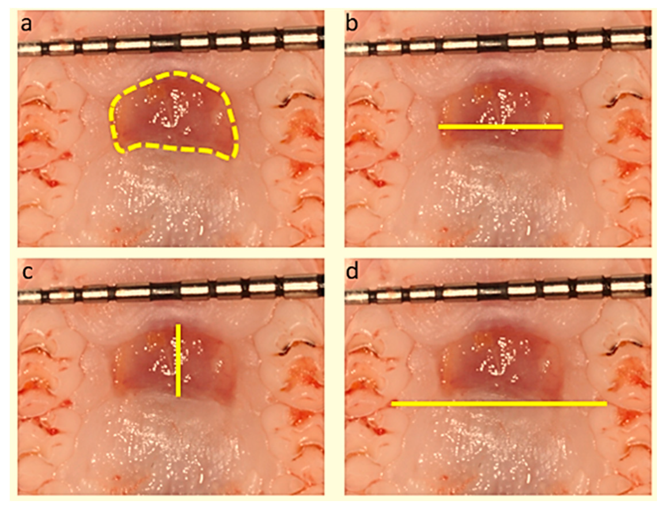 Biology 10 00240 g001