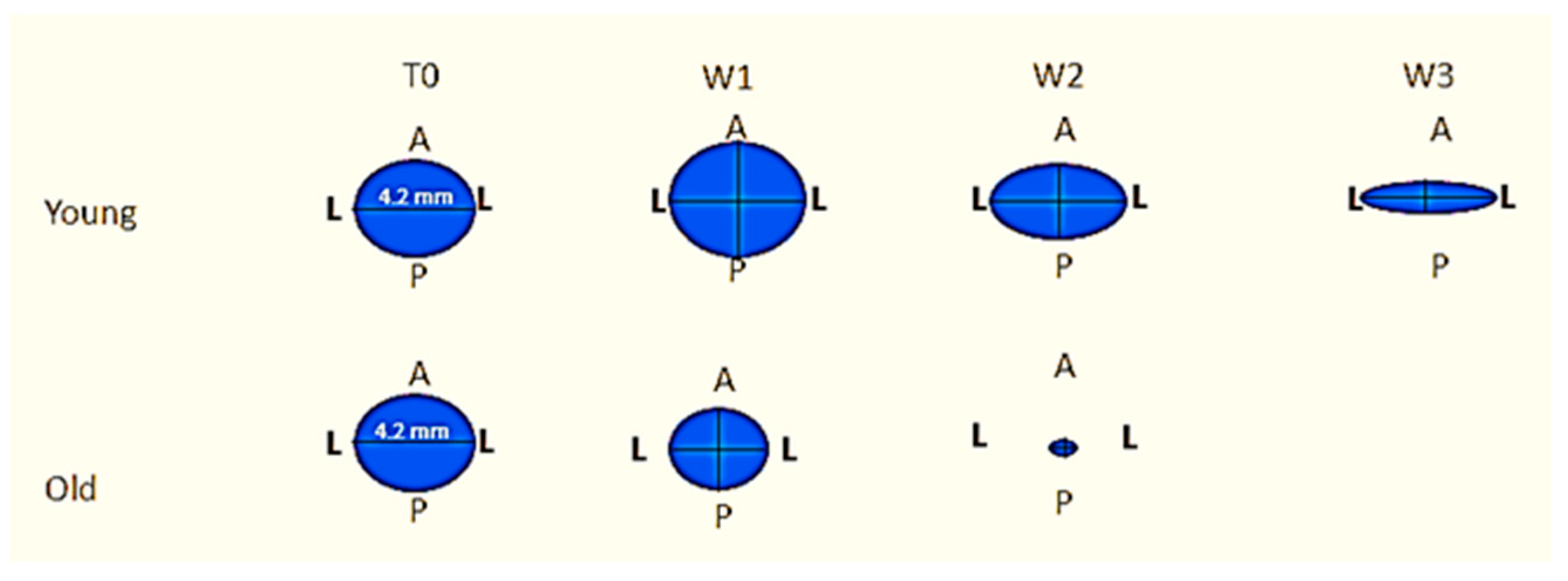 Biology 10 00240 g008