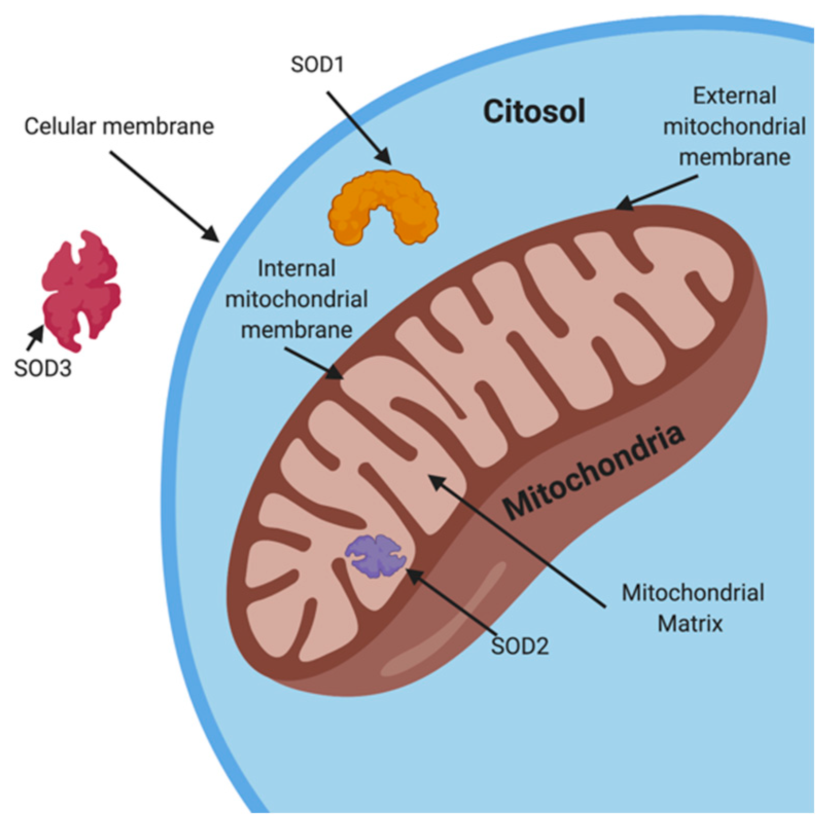 Biology 10 00241 g002