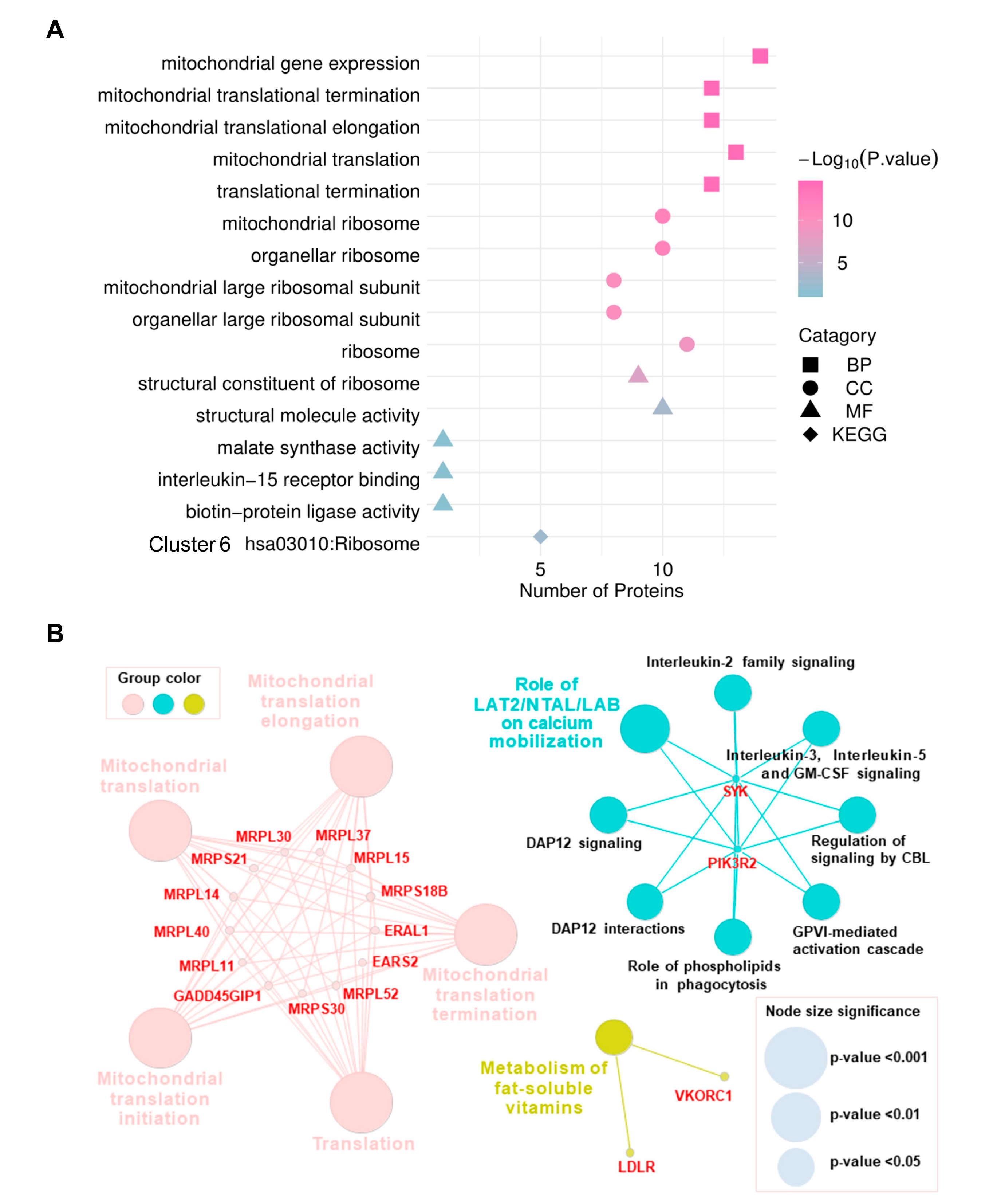 Biology 10 00250 g004