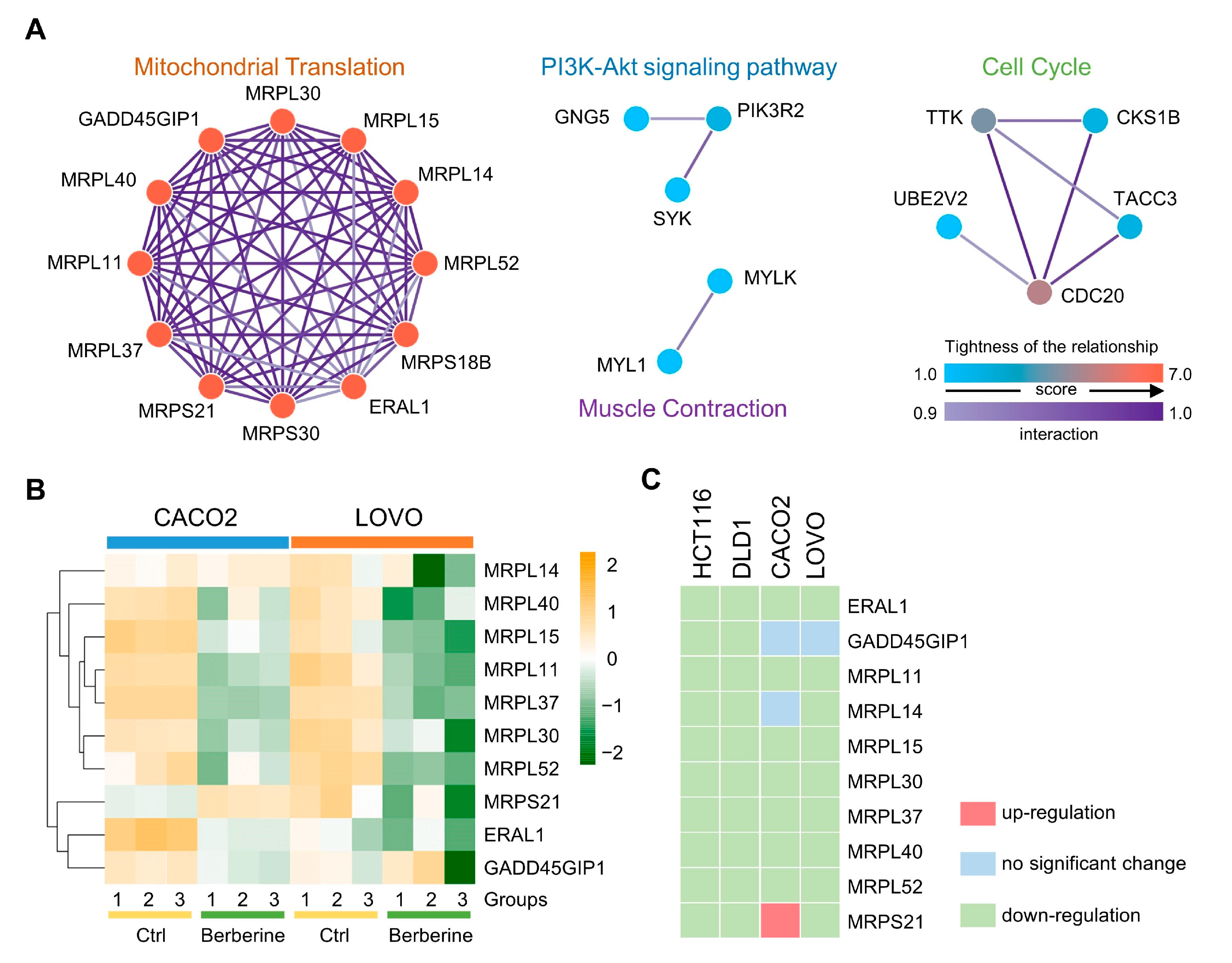 Biology 10 00250 g005