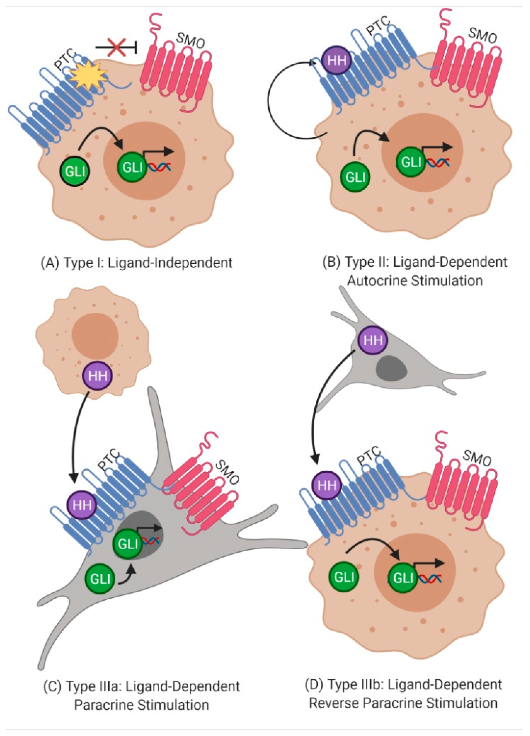 Biology 10 00255 g002 Biology 10 00255 g002