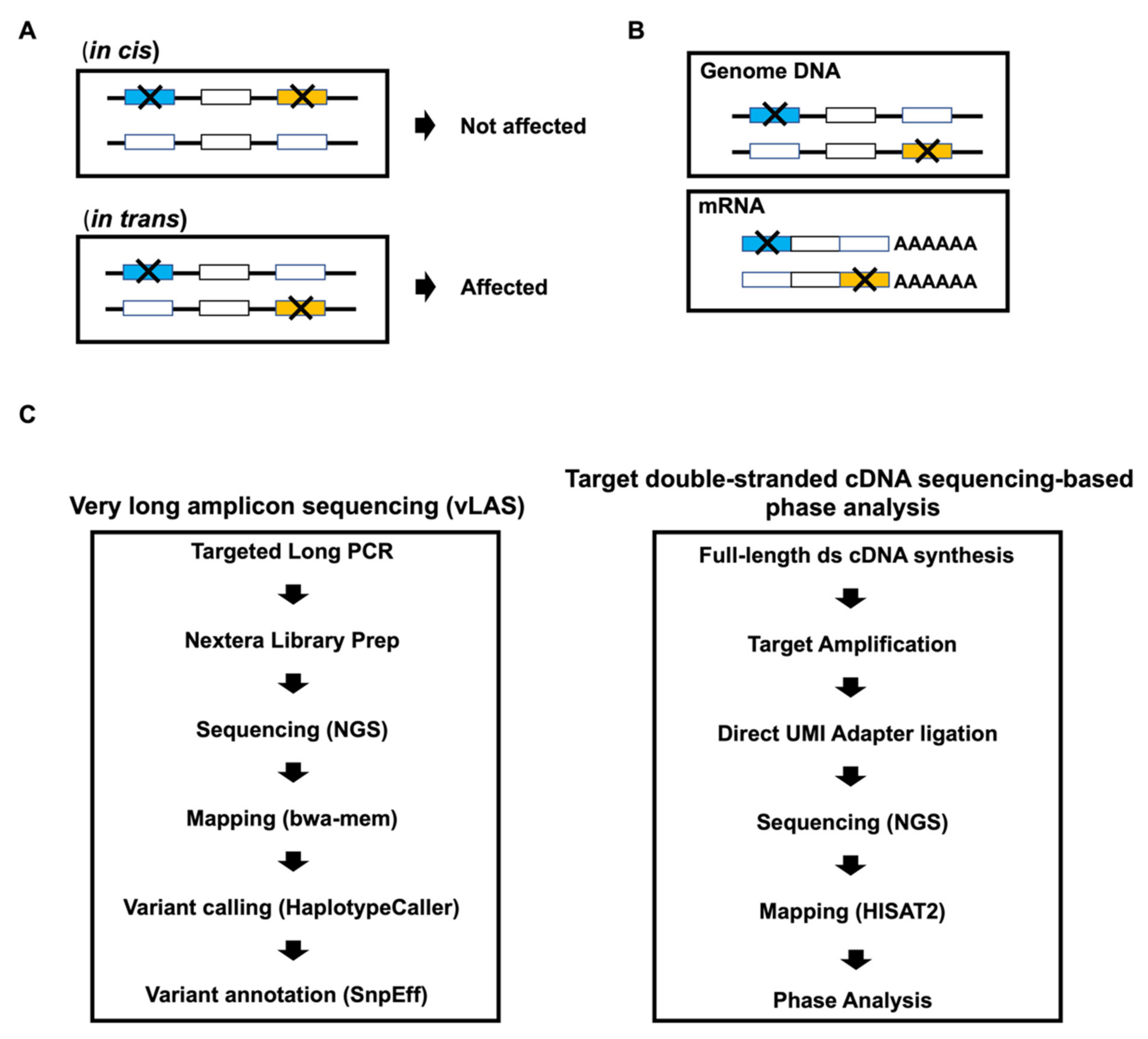 Biology Free FullText Targeted DoubleStranded cDNA Sequencing