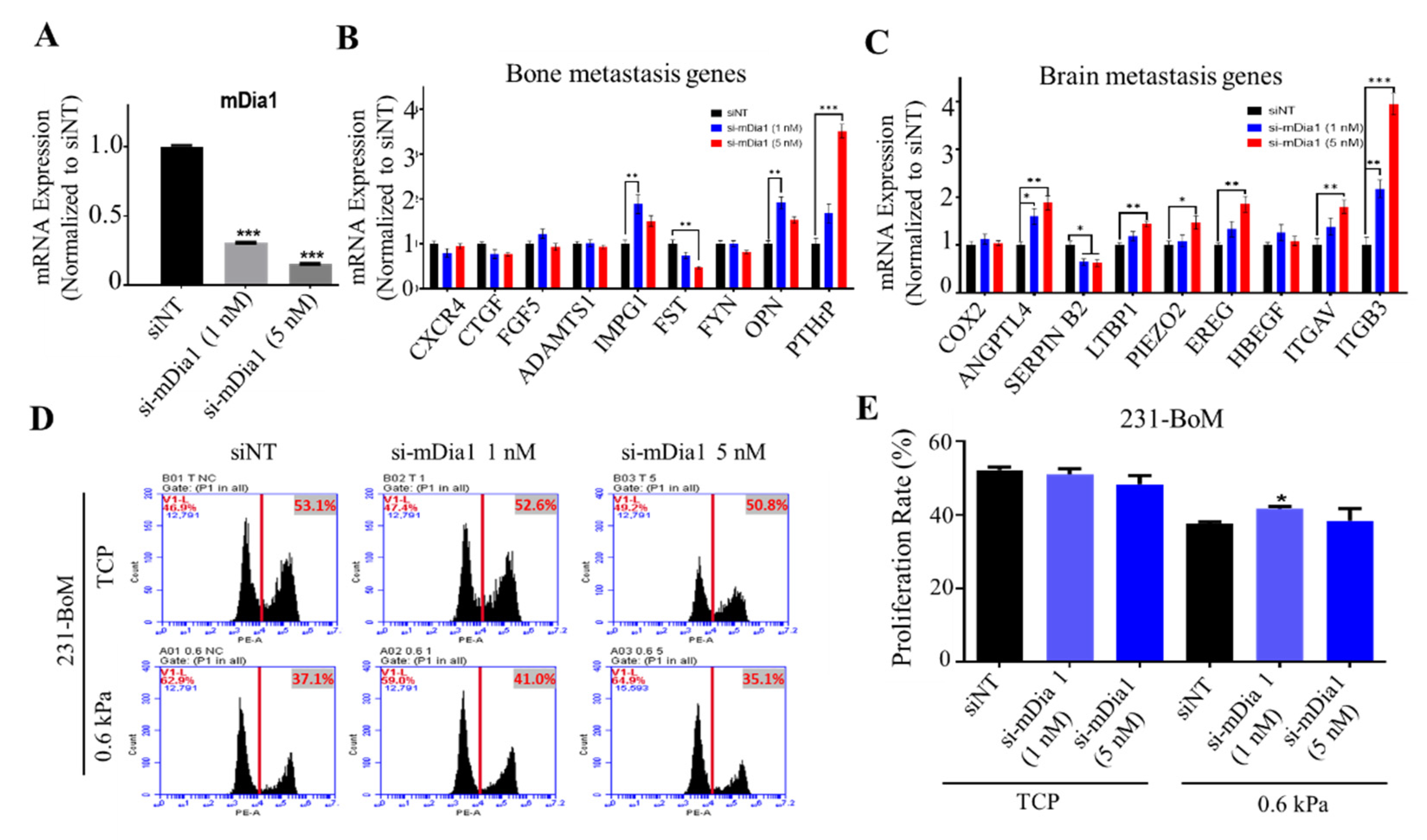 Biology 10 00259 g004 Biology 10 00259 g004