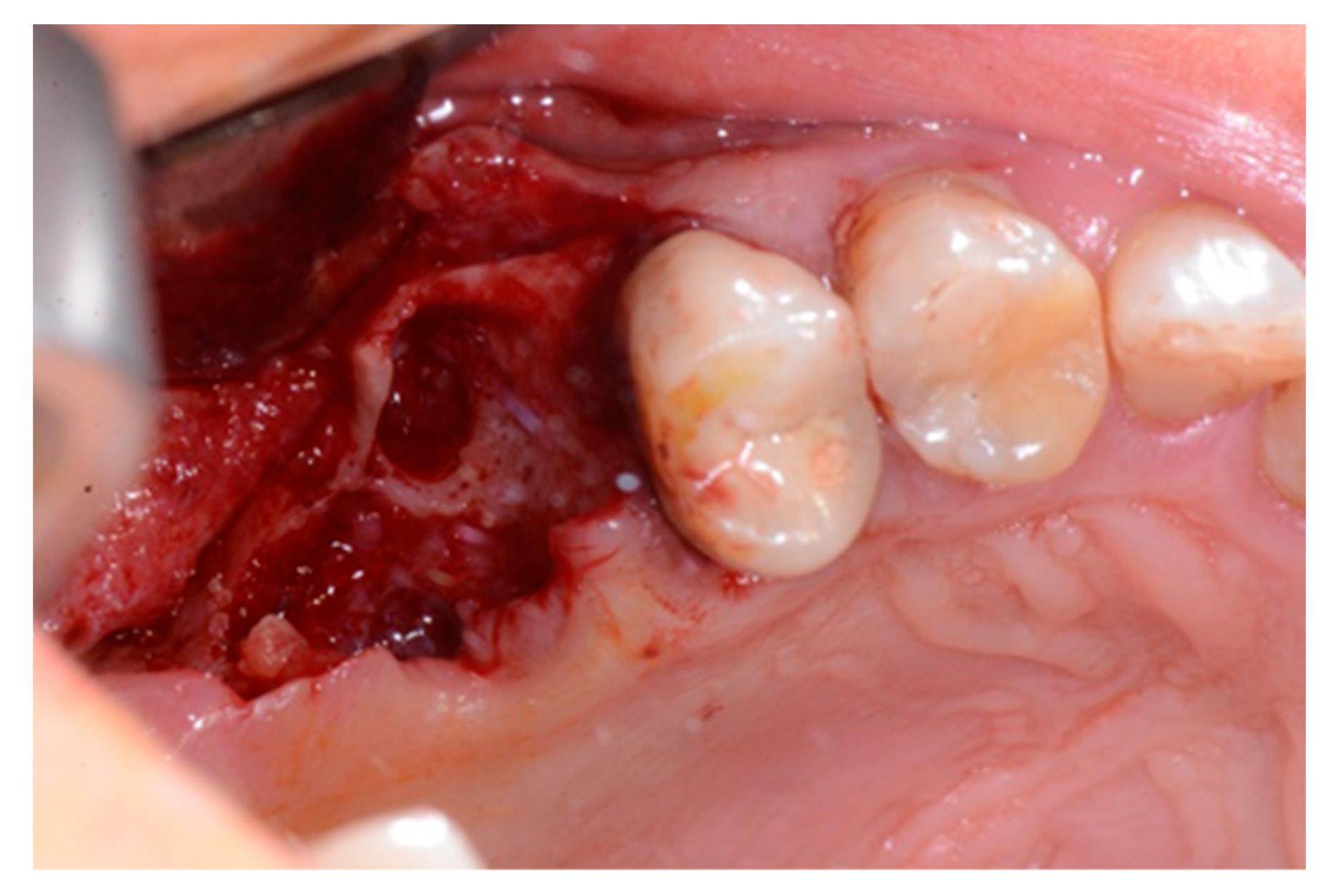 Biology 10 00262 g003 Biology 10 00262 g003