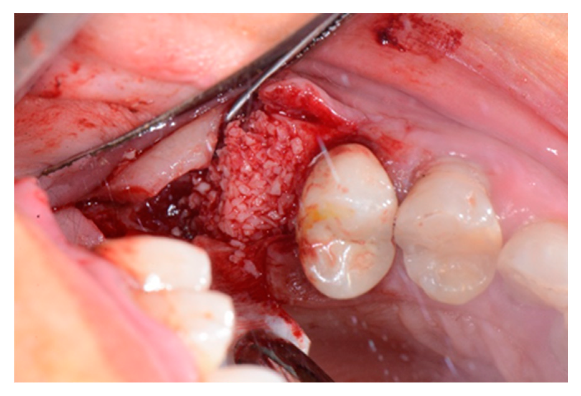 Biology 10 00262 g004 Biology 10 00262 g004