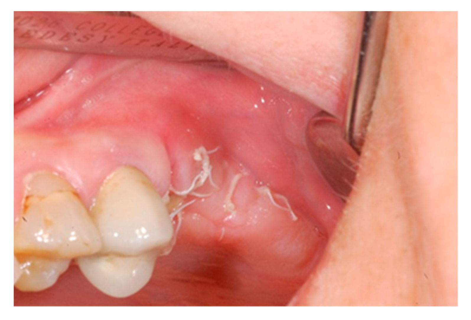 Biology 10 00262 g006 Biology 10 00262 g006