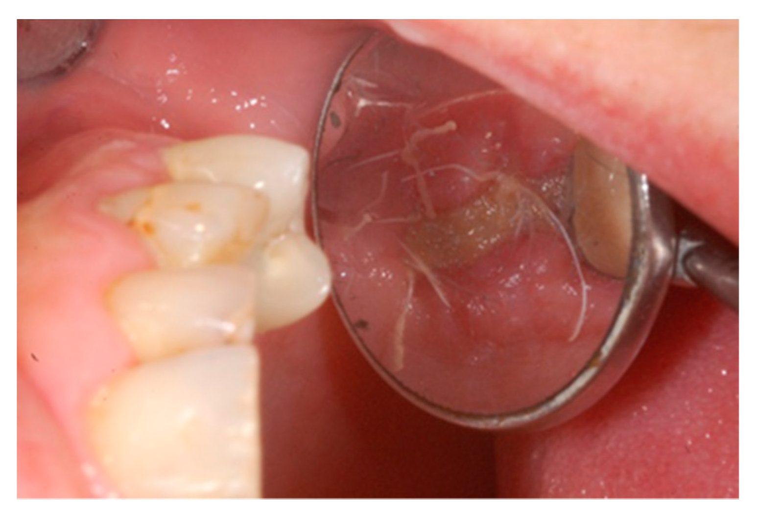 Biology 10 00262 g007 Biology 10 00262 g007
