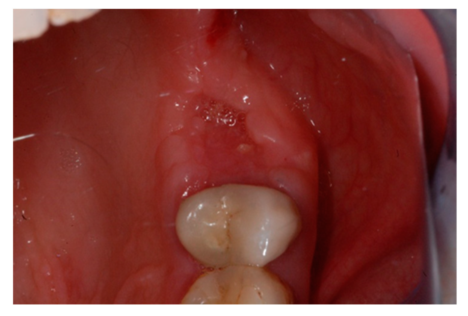 Biology 10 00262 g008 Biology 10 00262 g008