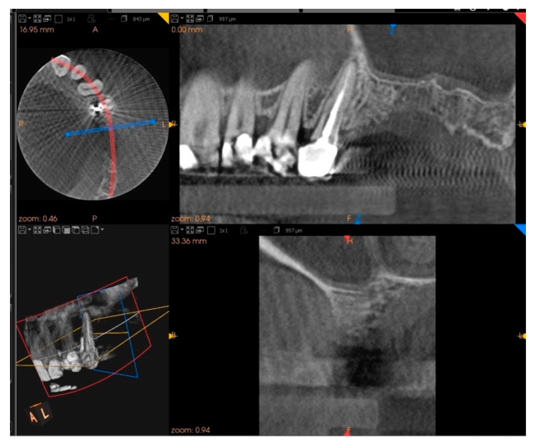 Biology 10 00262 g009 Biology 10 00262 g009