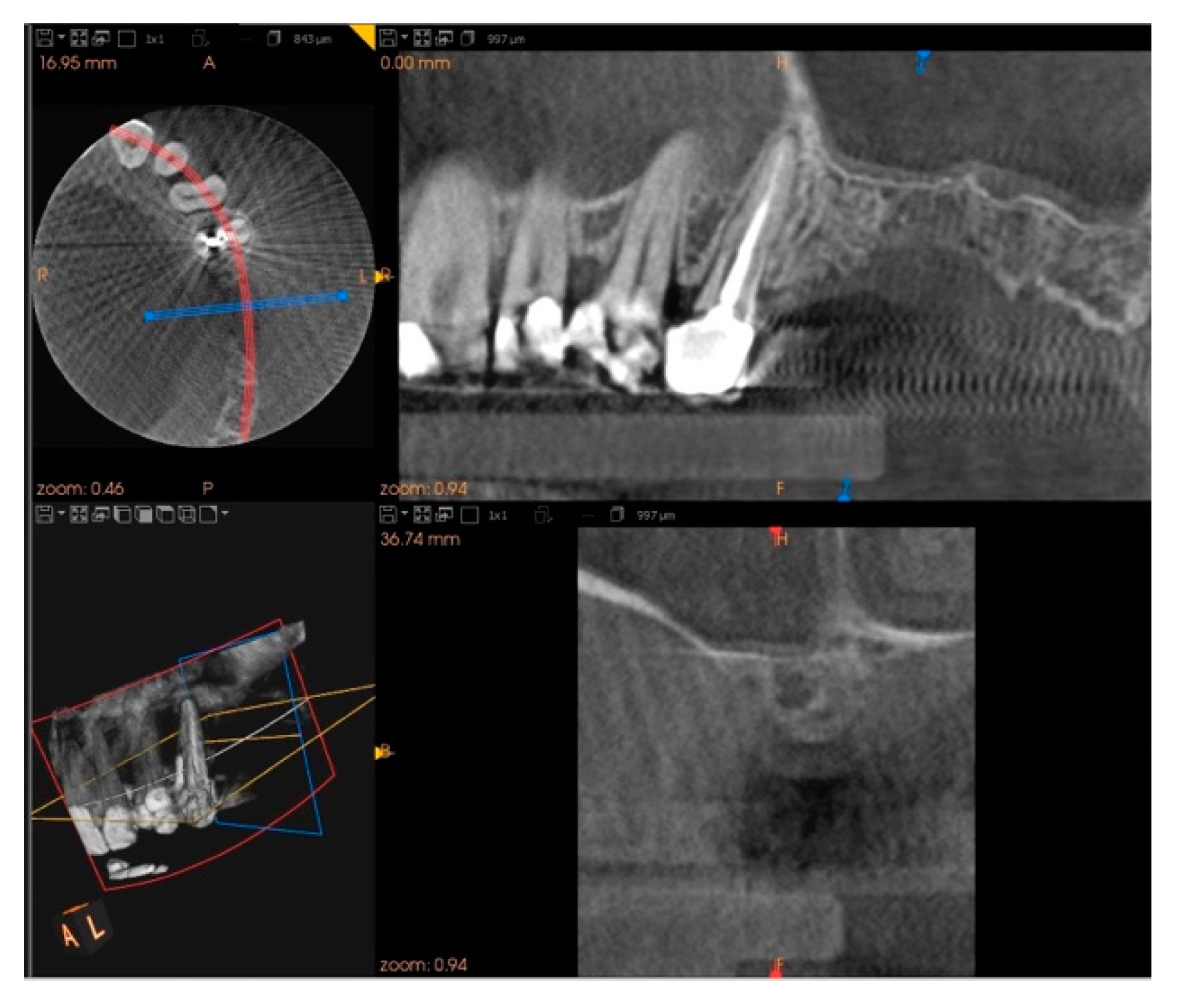 Biology 10 00262 g010 Biology 10 00262 g010