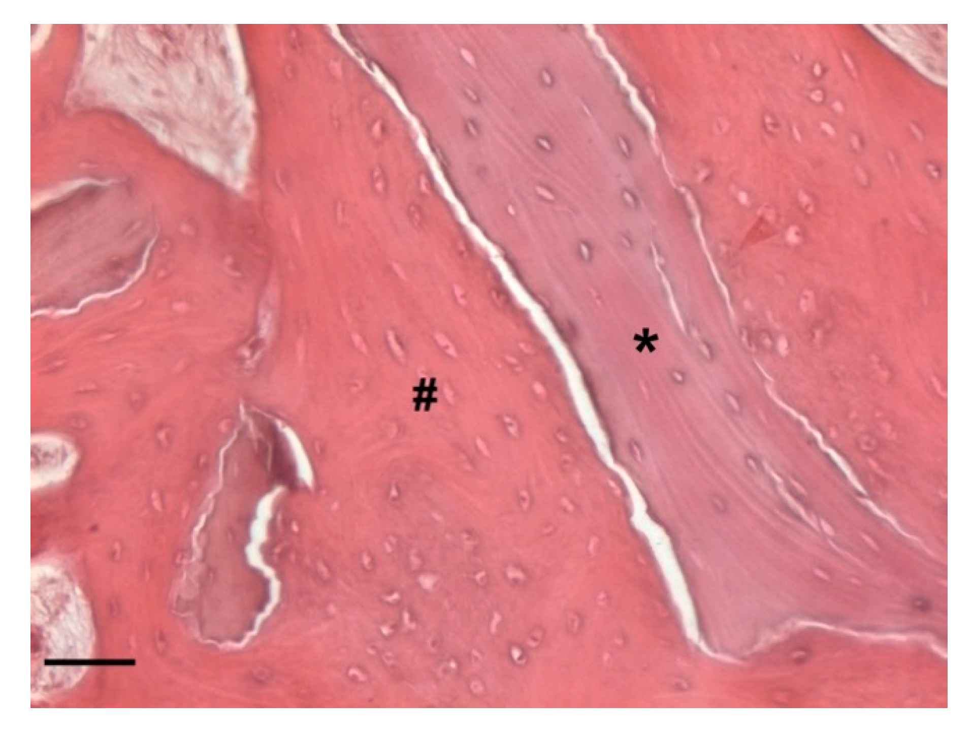 Biology 10 00262 g016 Biology 10 00262 g016