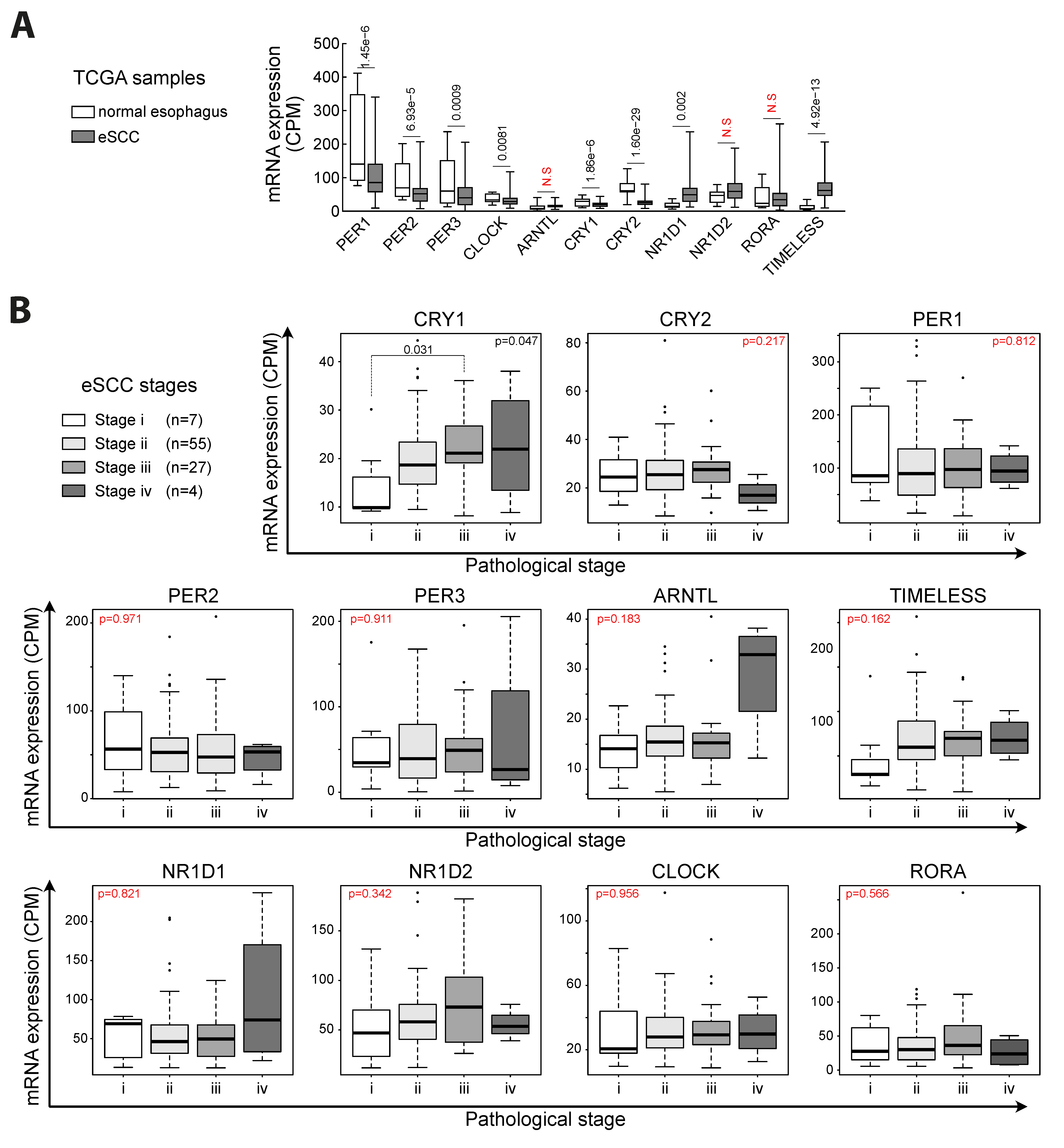 Biology 10 00266 g001 Biology 10 00266 g001