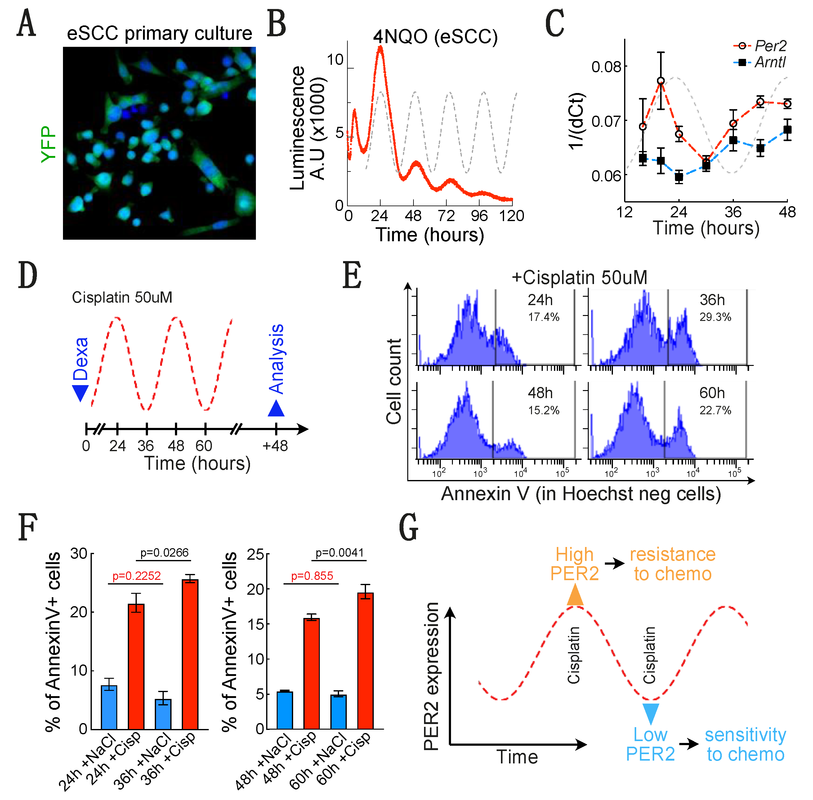 Biology 10 00266 g006 Biology 10 00266 g006