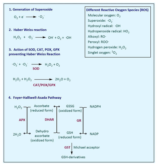 Biology, Free Full-Text