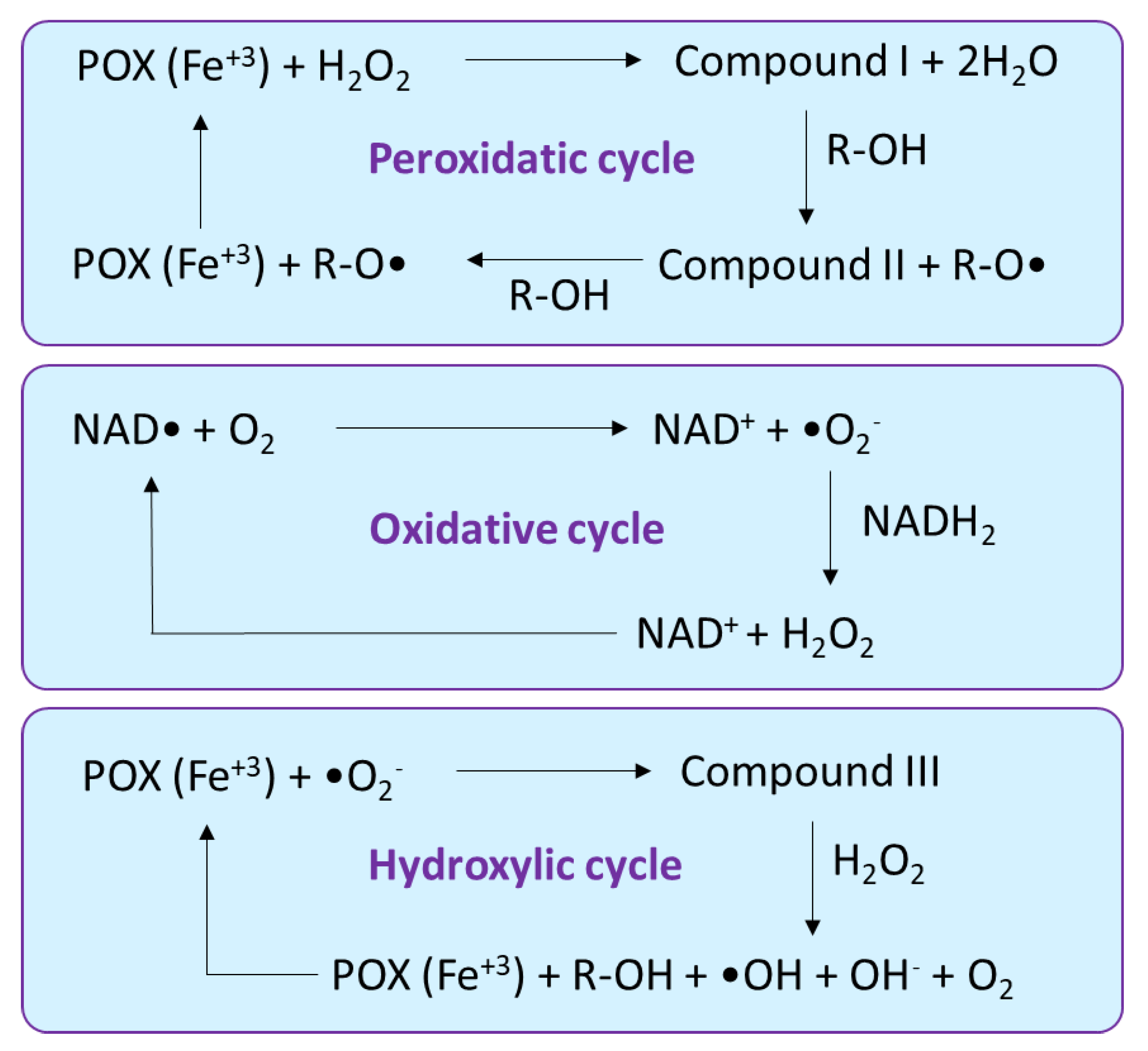 Biology 10 00267 g003 Biology 10 00267 g003
