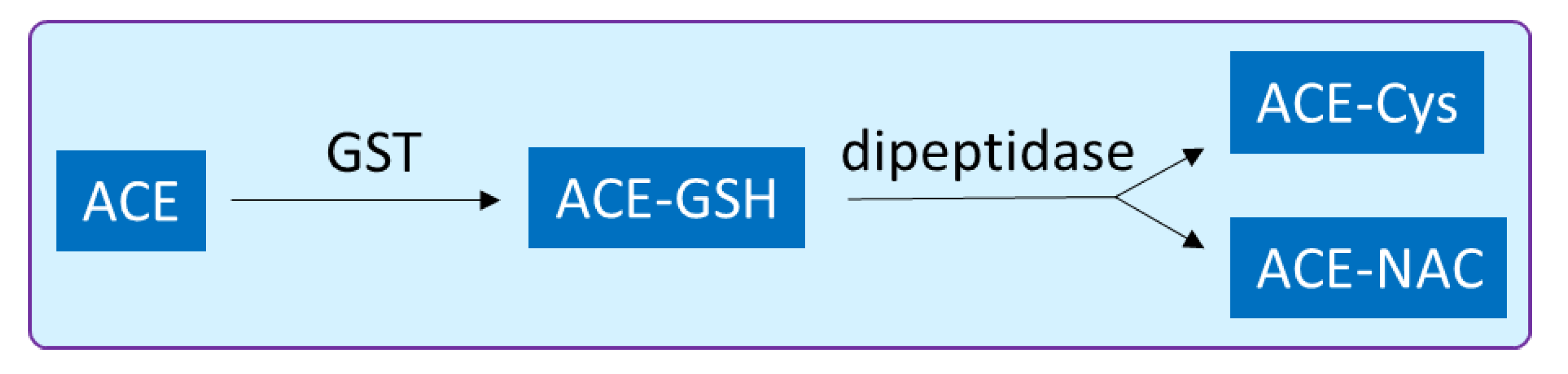 Biology 10 00267 g005 Biology 10 00267 g005