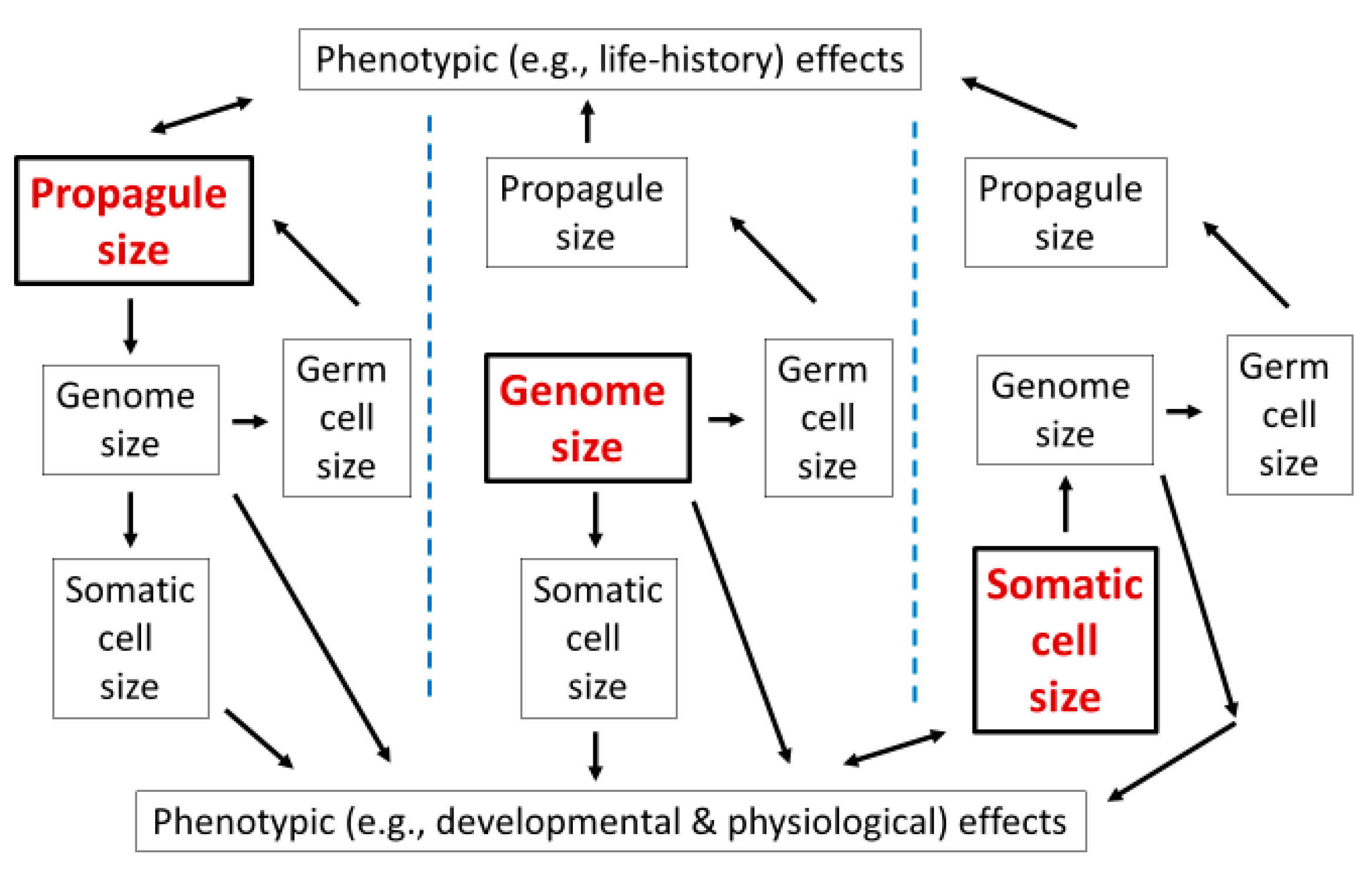 Biology 10 00270 g006 Biology 10 00270 g006