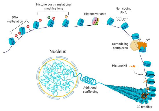 Biology 10 00272 g001 550