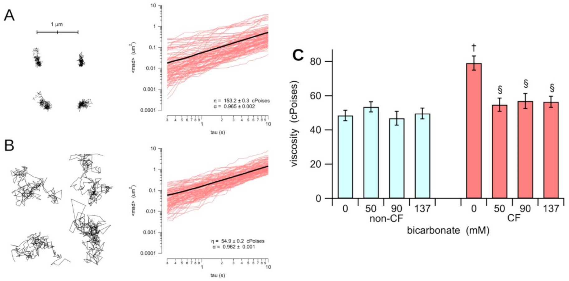 Biology 10 00278 g001