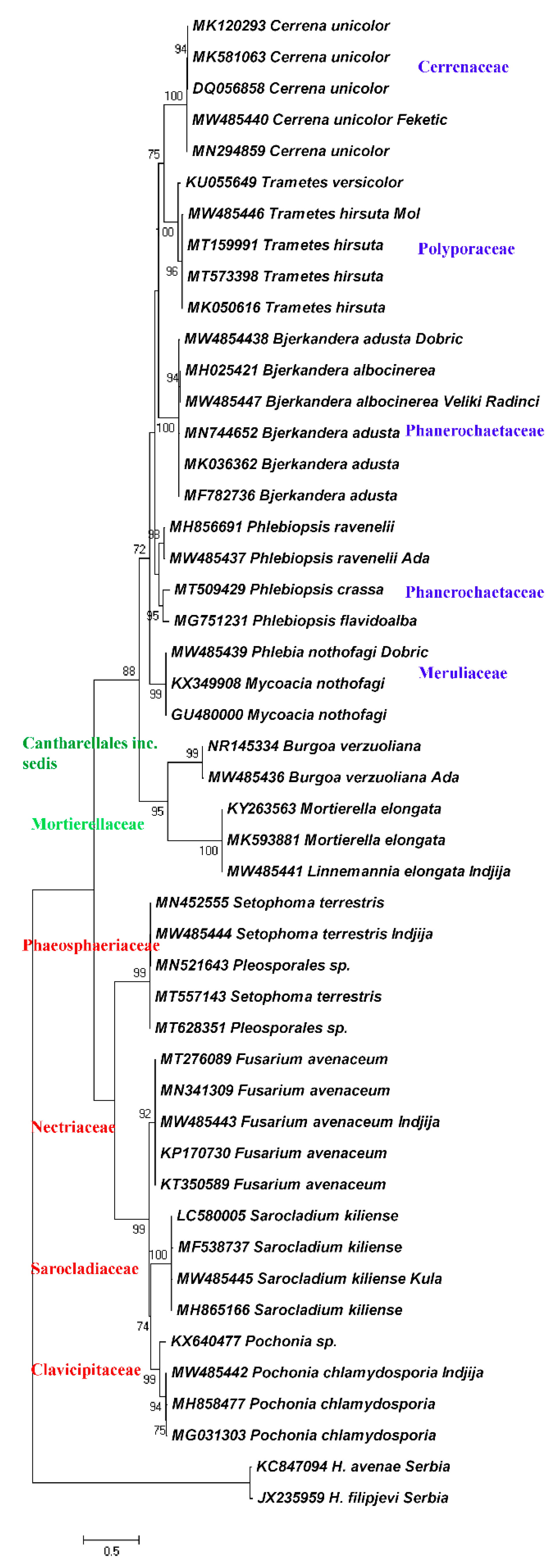 Biology 10 00283 g003