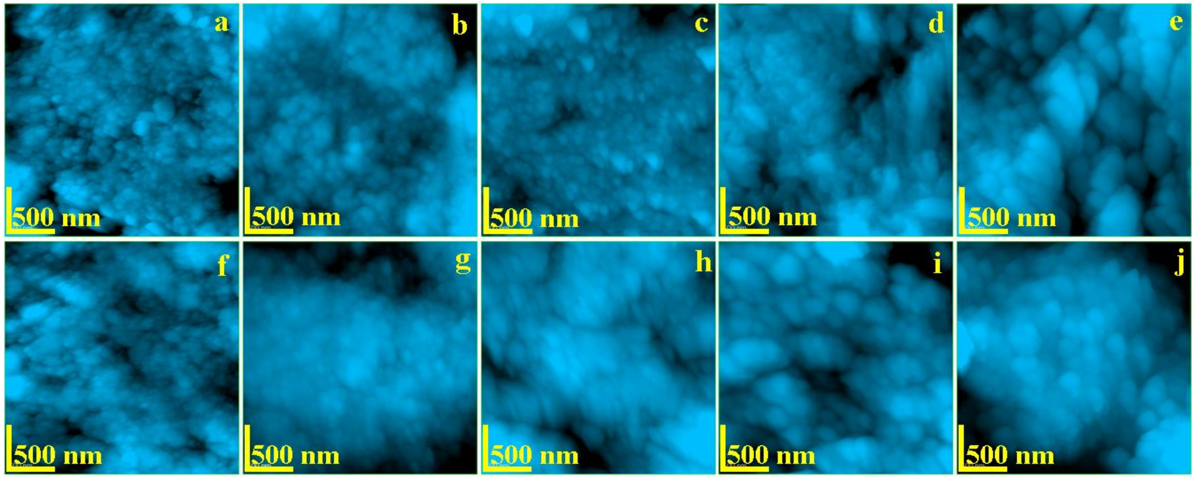 Biology 10 00284 g004 Biology 10 00284 g004