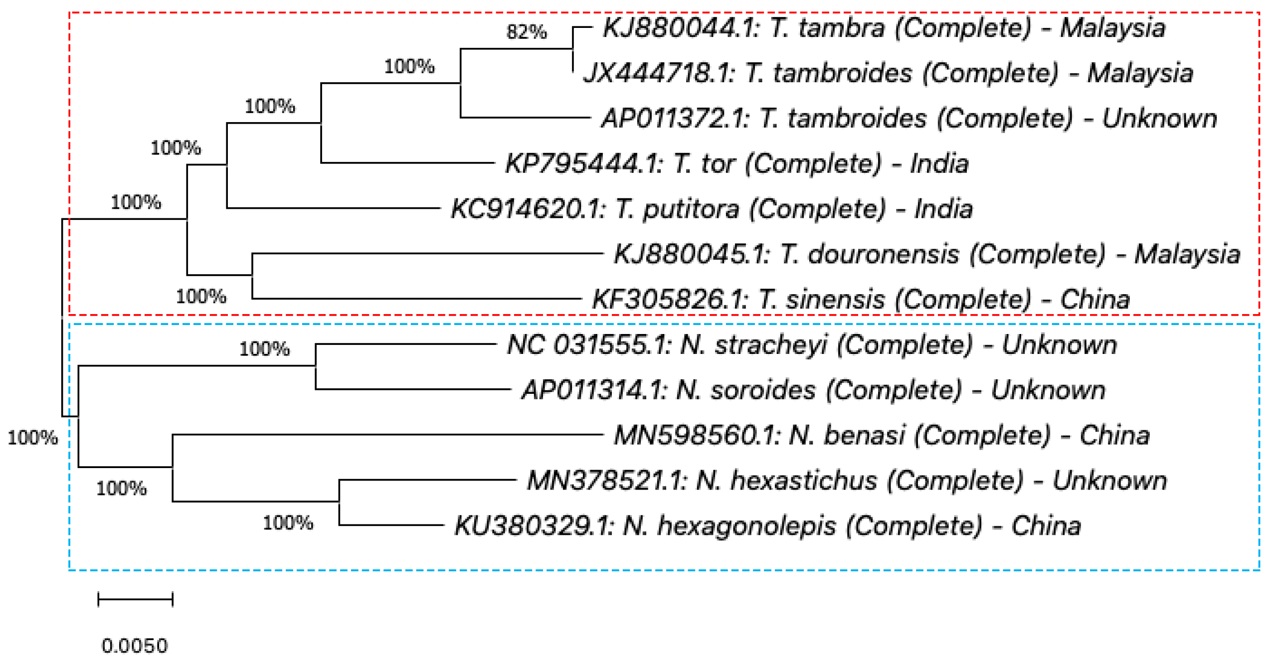 Biology 10 00286 g003
