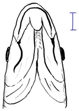 Biology 10 00286 i011