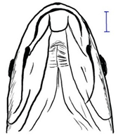 Biology 10 00286 i014