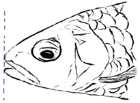 Biology 10 00286 i016