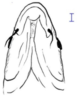 Biology 10 00286 i020