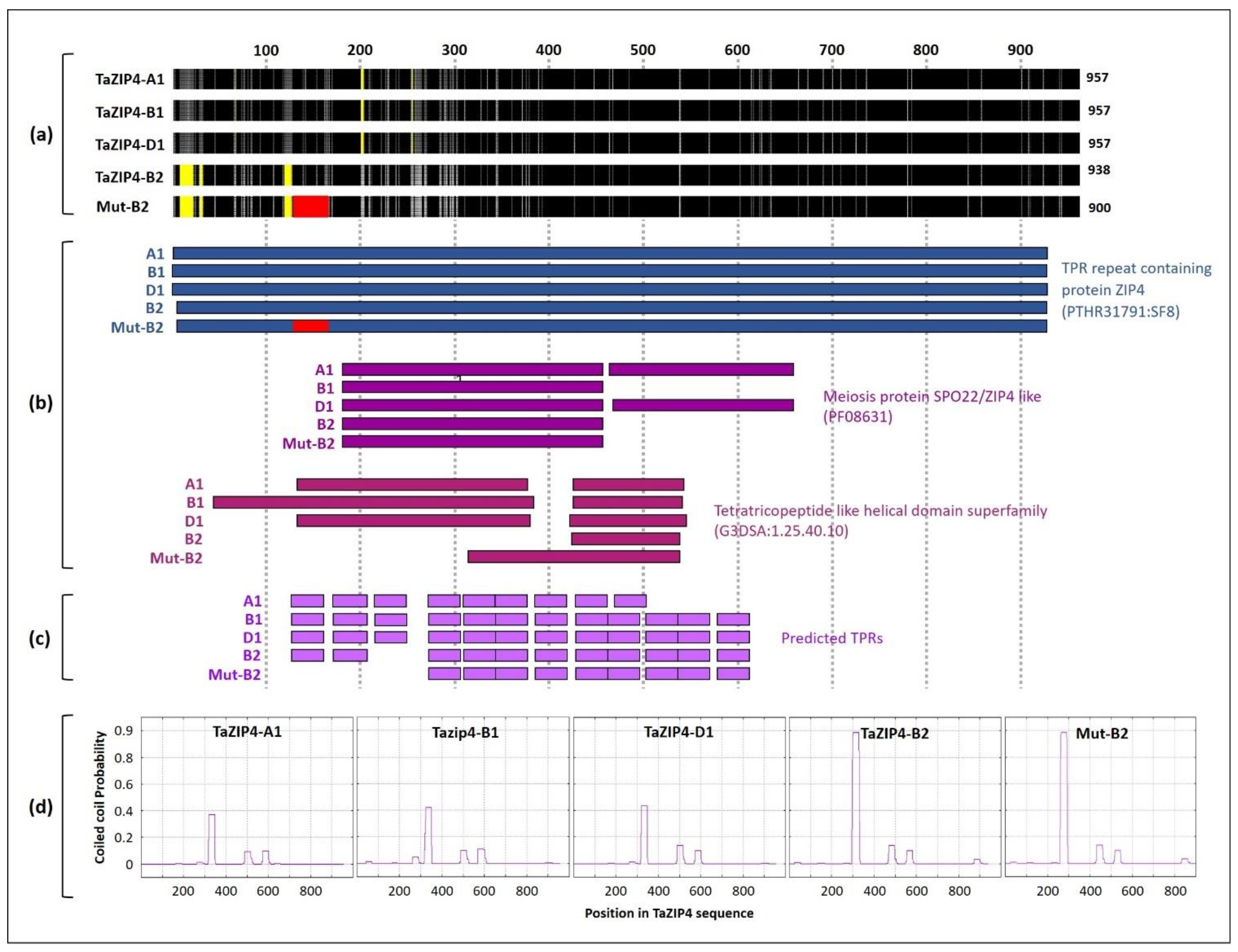 Biology 10 00290 g001 Biology 10 00290 g001
