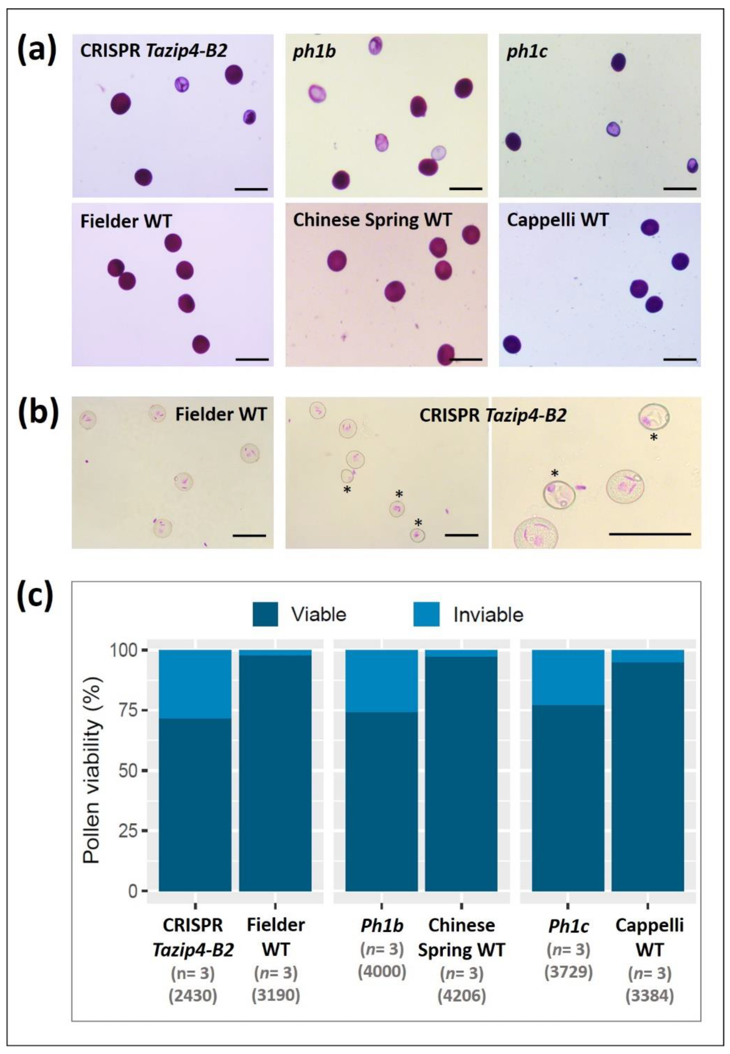Biology 10 00290 g007 Biology 10 00290 g007