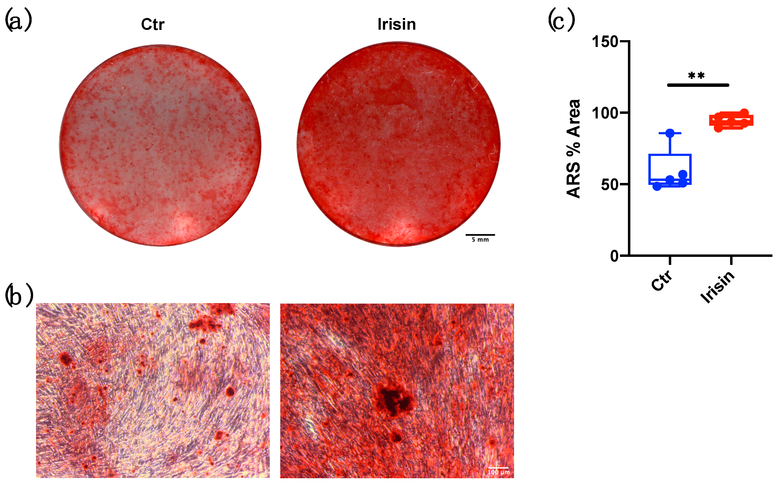 Biology 10 00295 g005