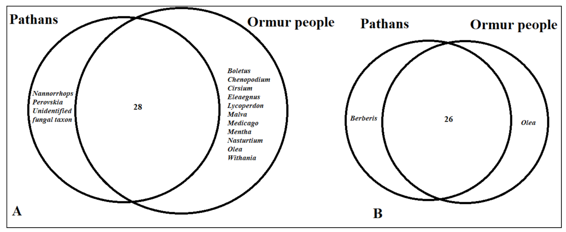 Biology 10 00302 g004