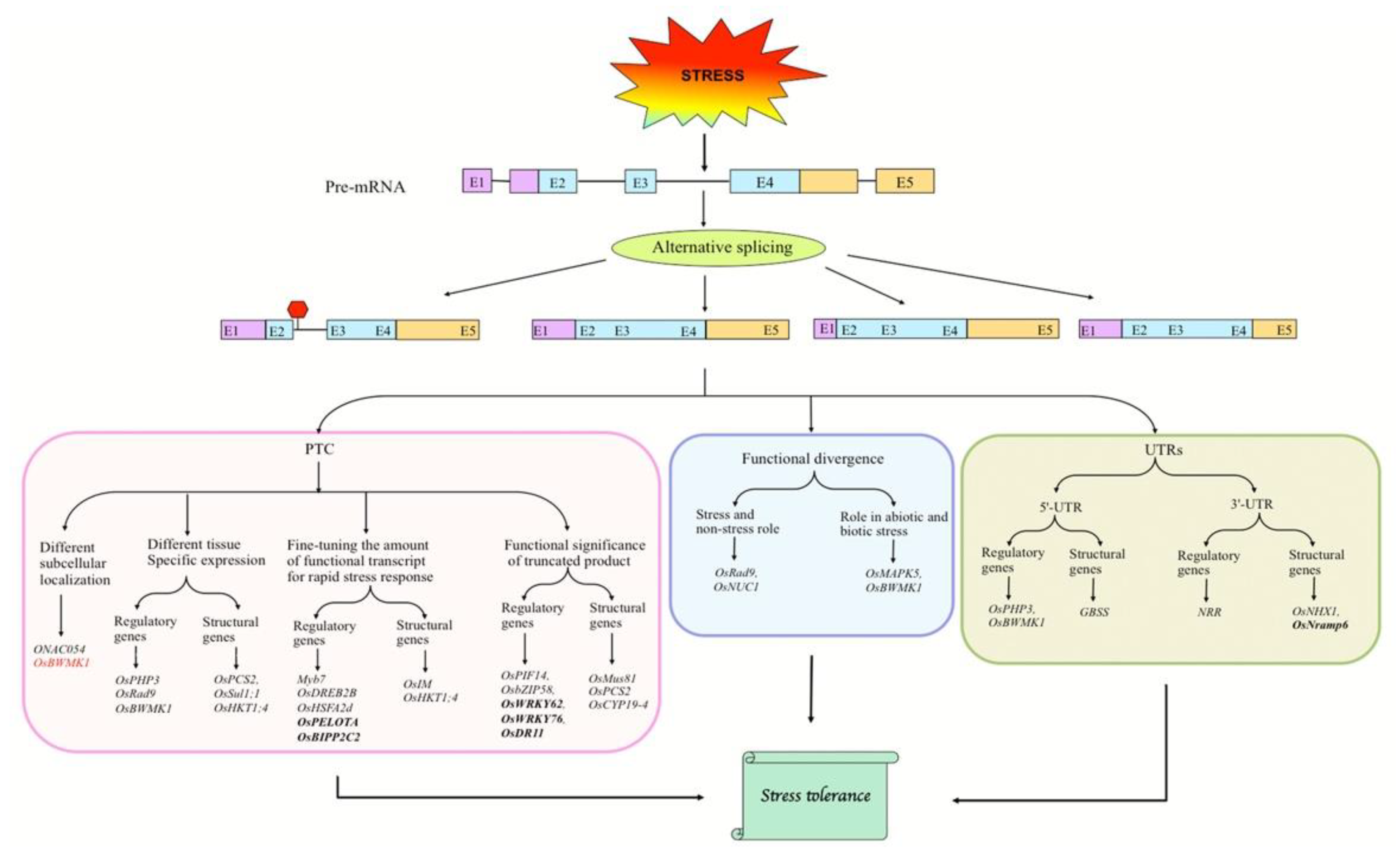 Biology 10 00309 g001 Biology 10 00309 g001